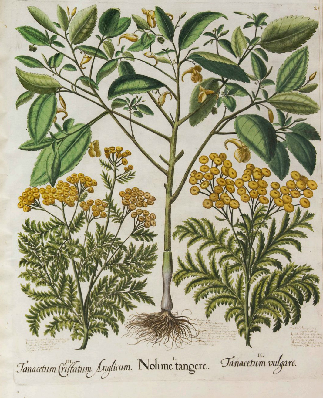 no full size  illustration available (3a)