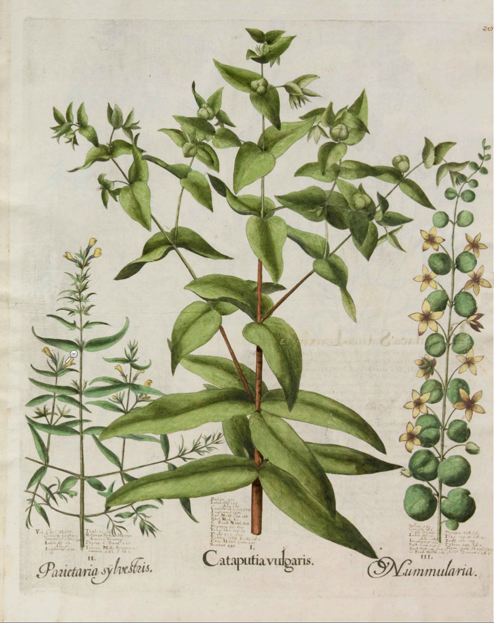 no full size  illustration available (3a)