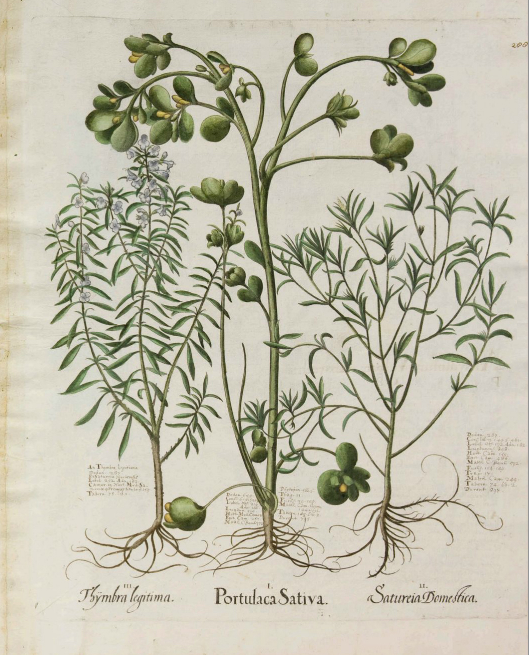 no full size  illustration available (3a)