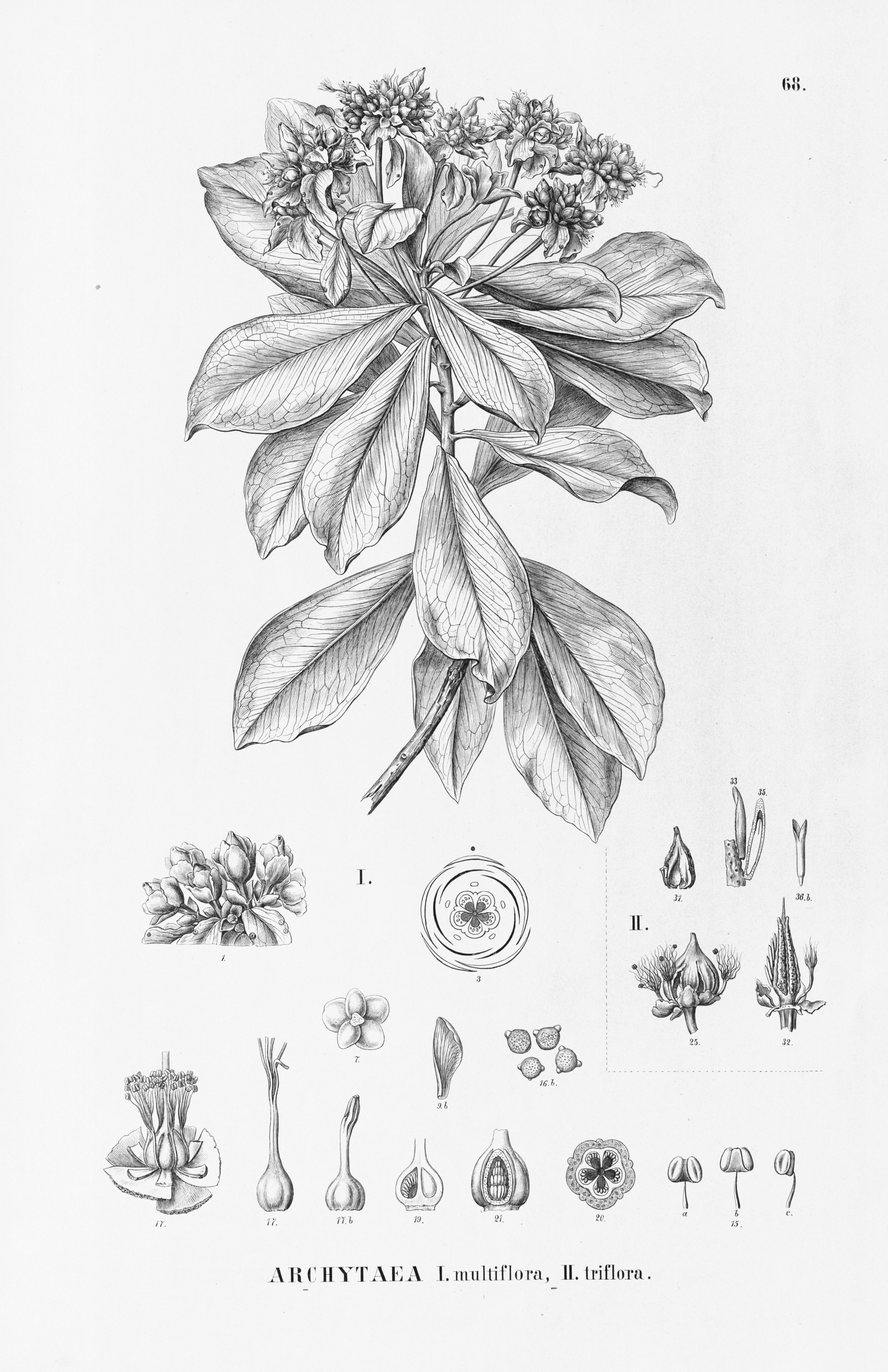 no full size  illustration available (3a)