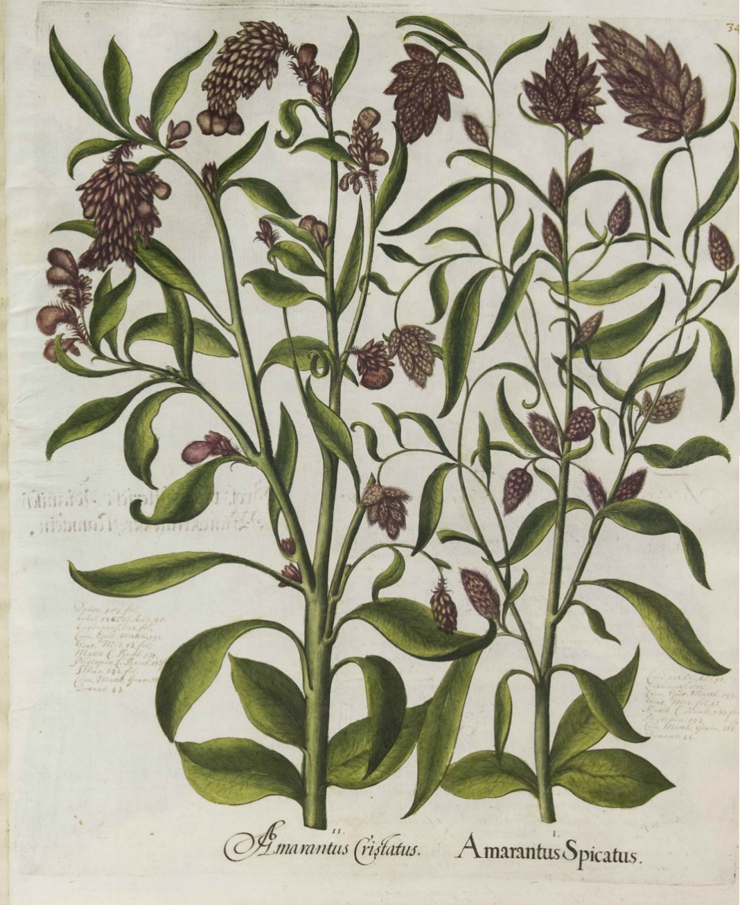 no full size  illustration available (3a)