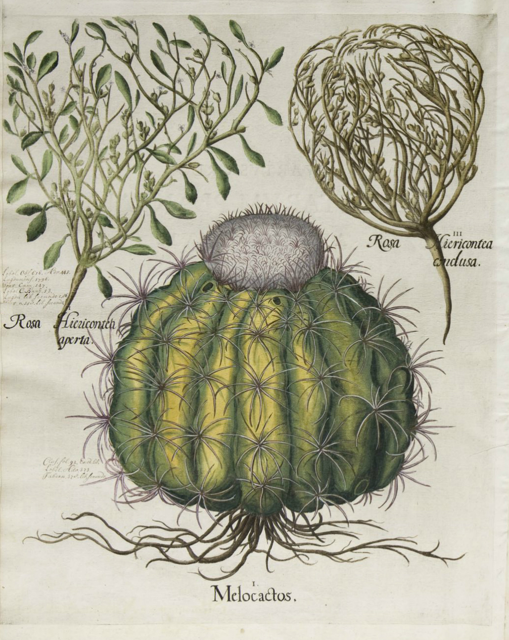 no full size  illustration available (3a)