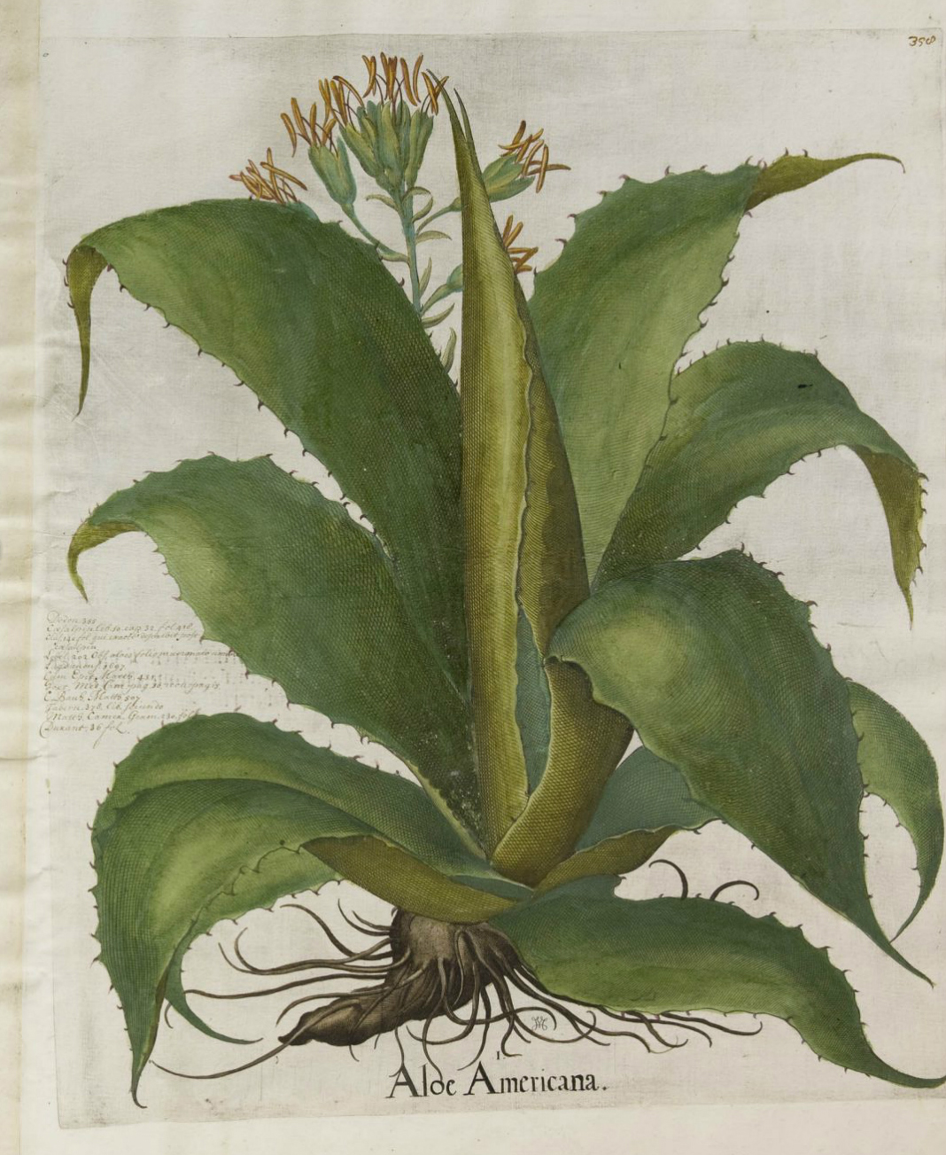 no full size  illustration available (3a)