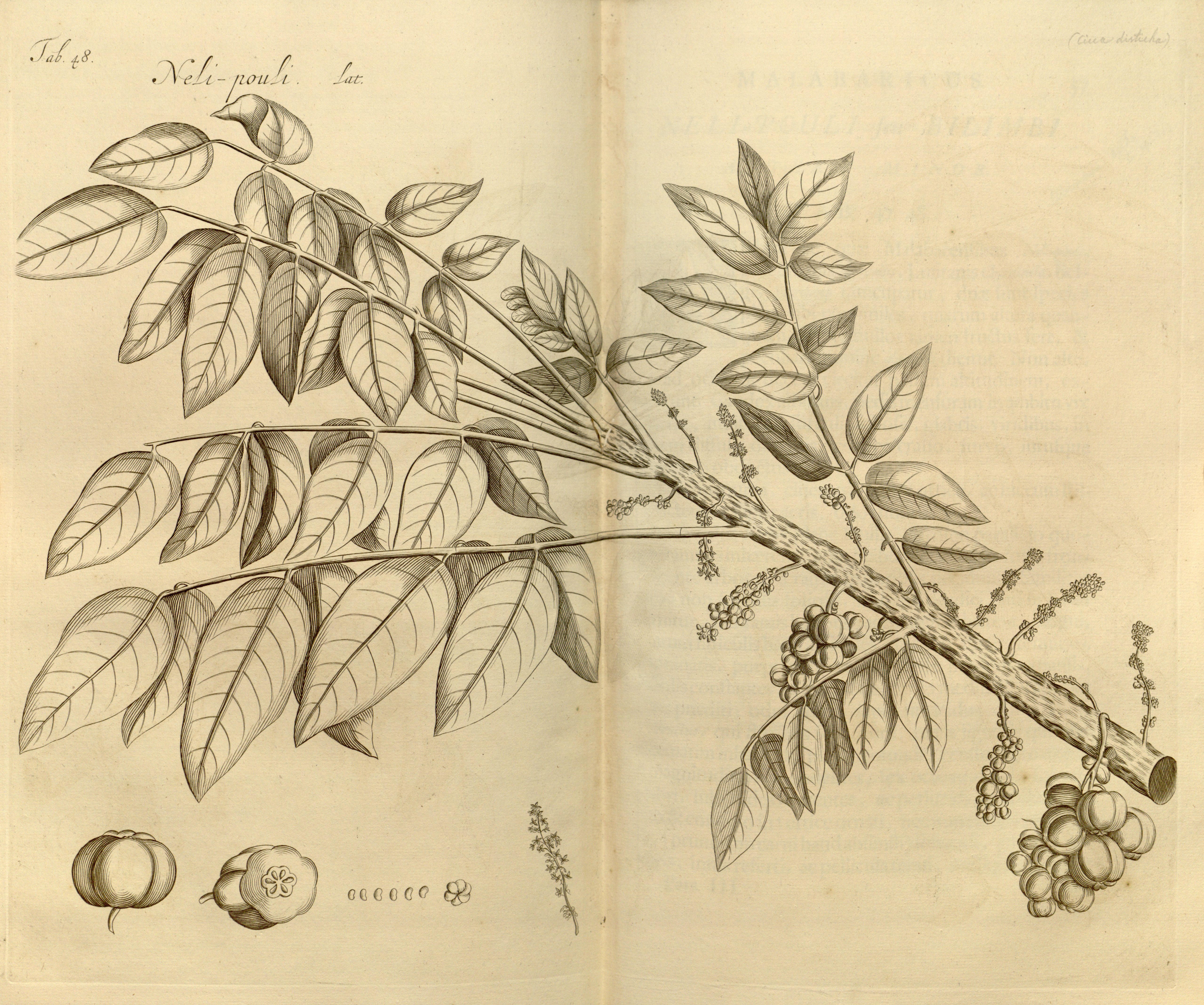 no full size  illustration available (3a)