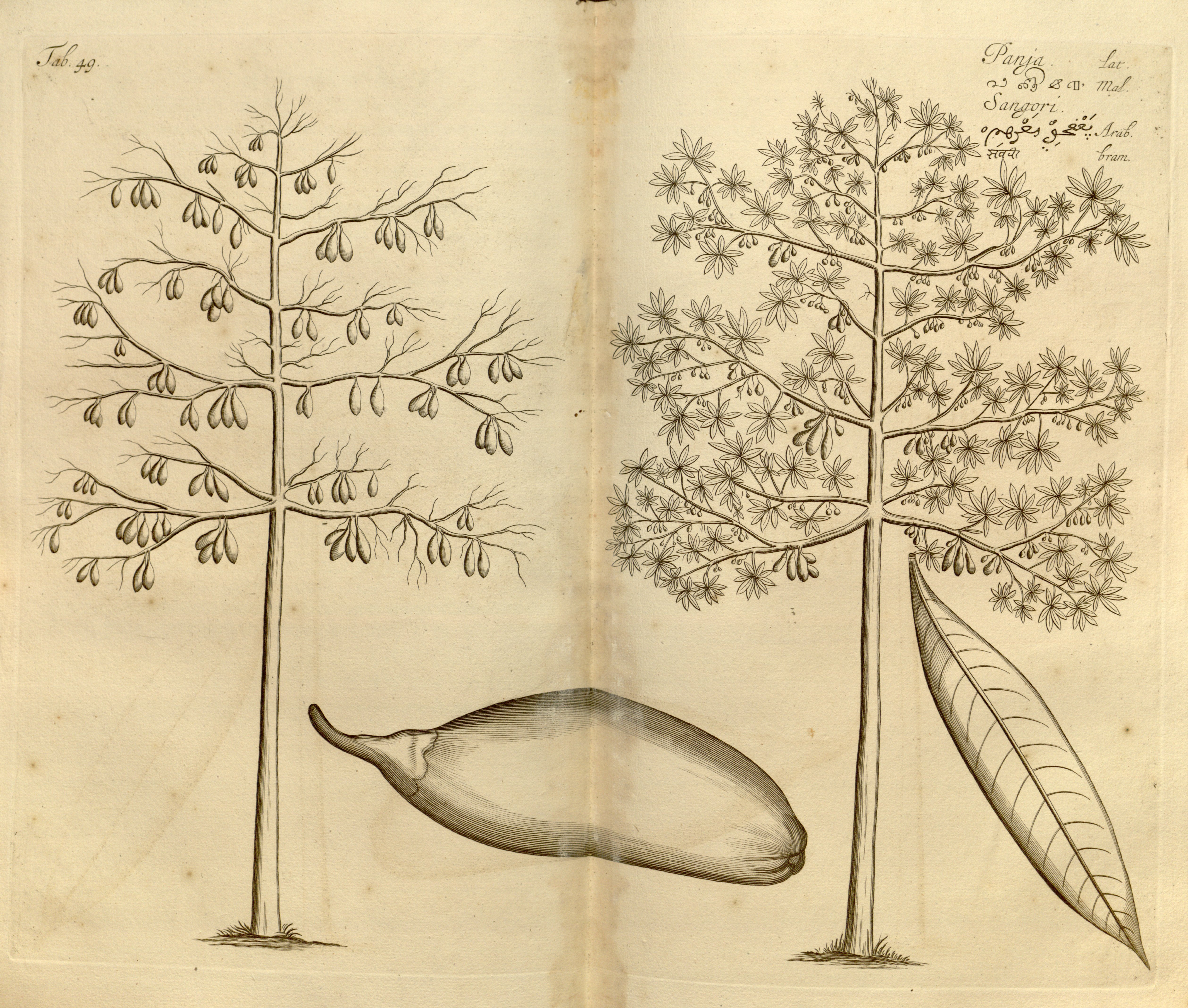 no full size  illustration available (3a)