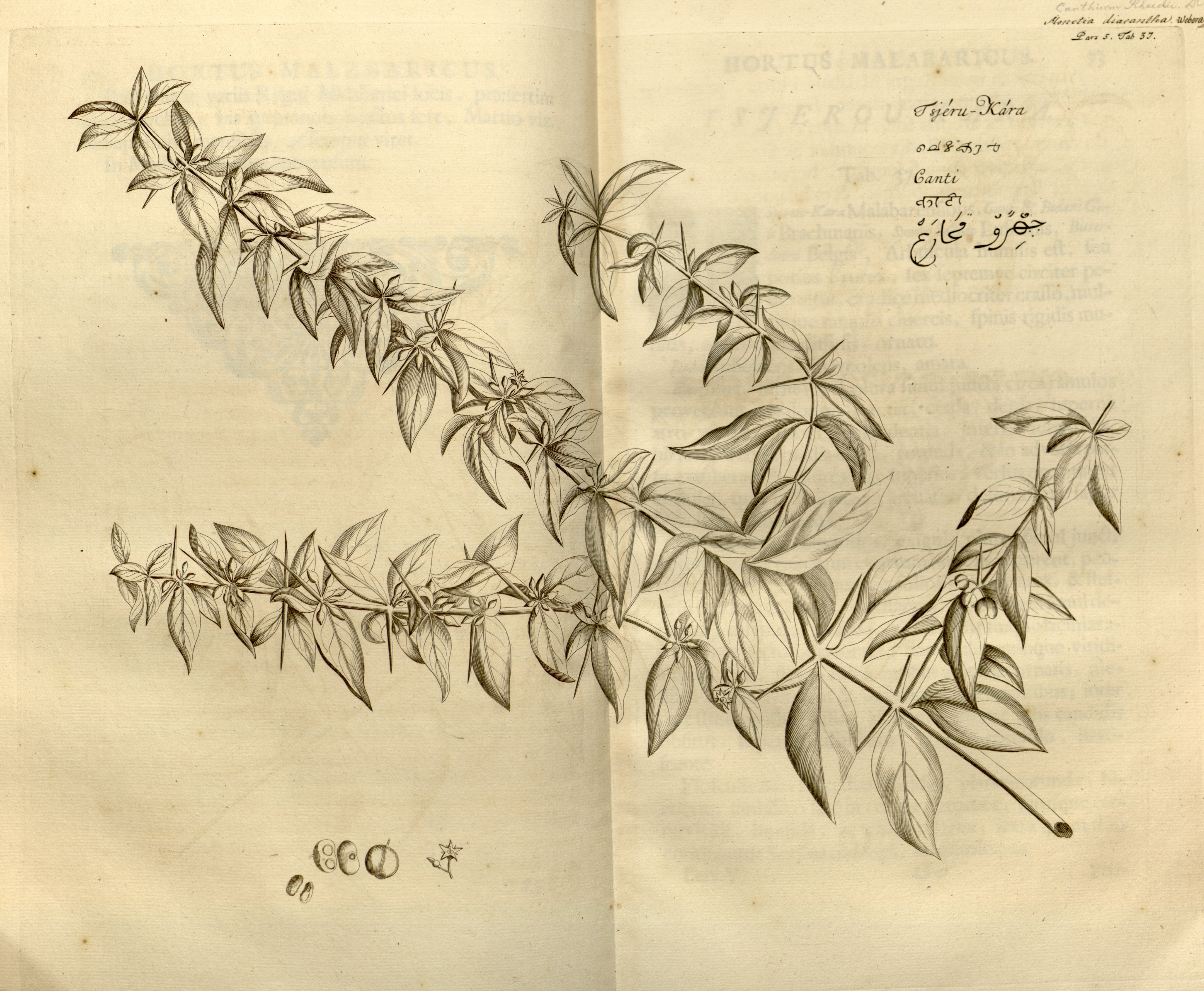 no full size  illustration available (3a)