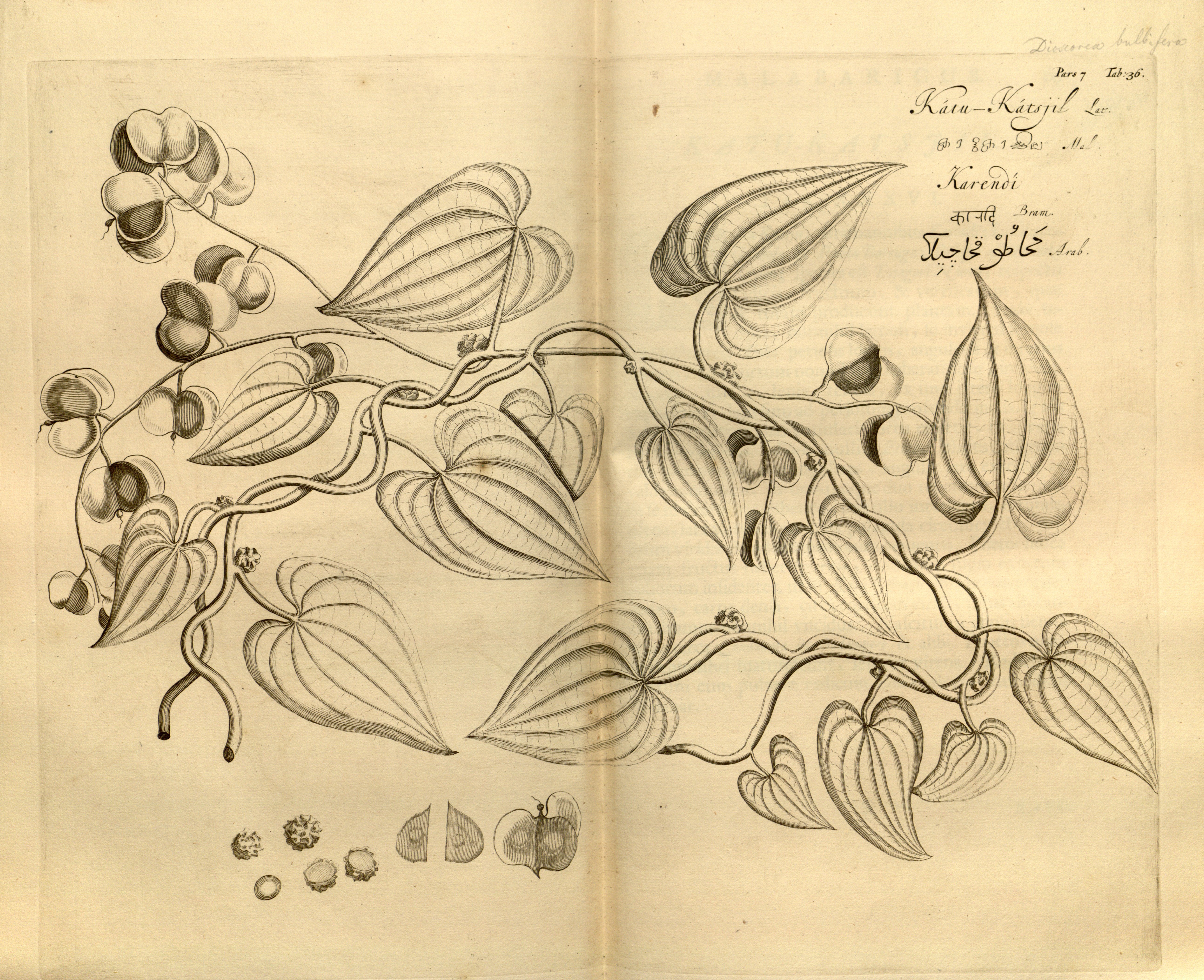 no full size  illustration available (3a)