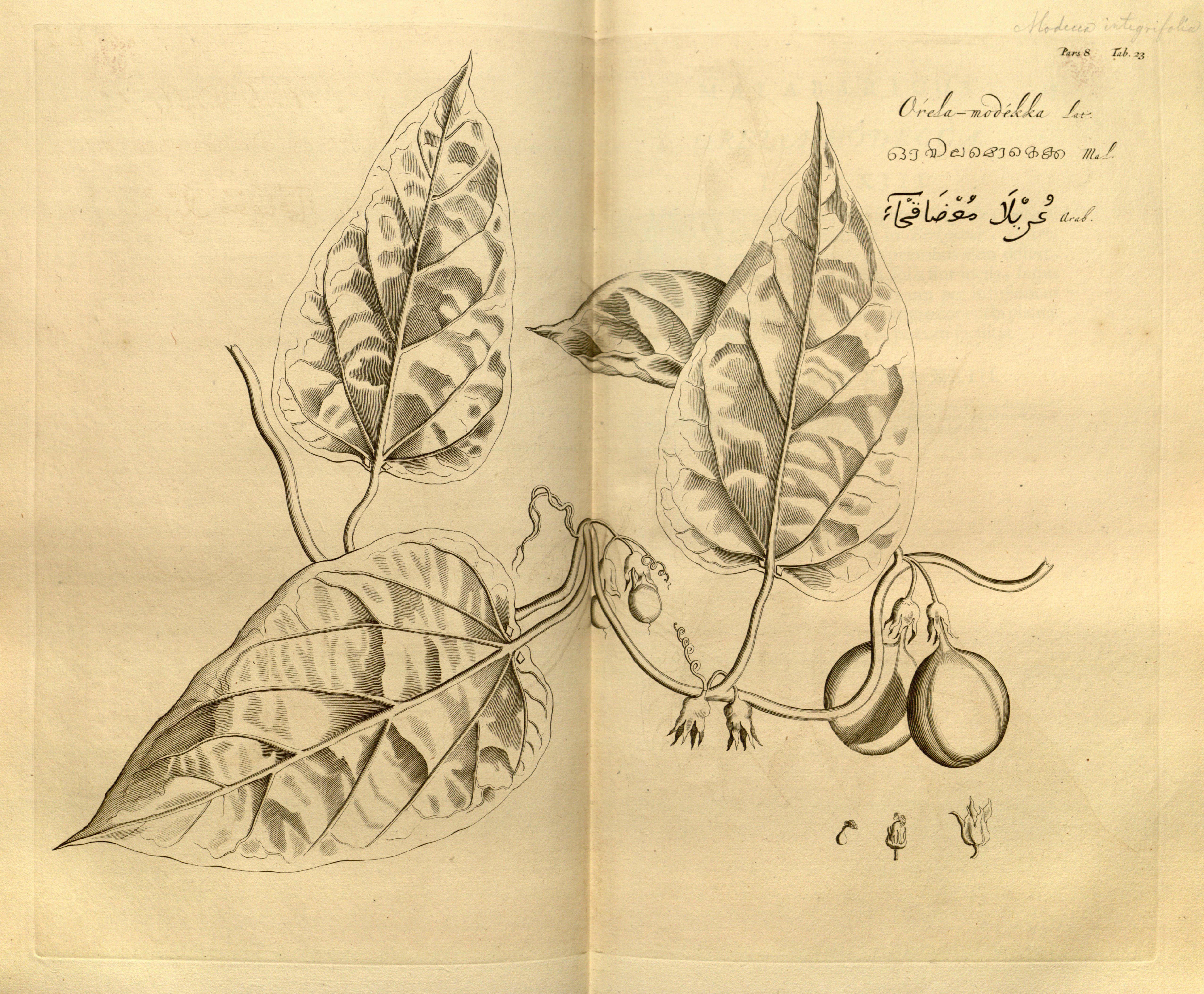 no full size  illustration available (3a)