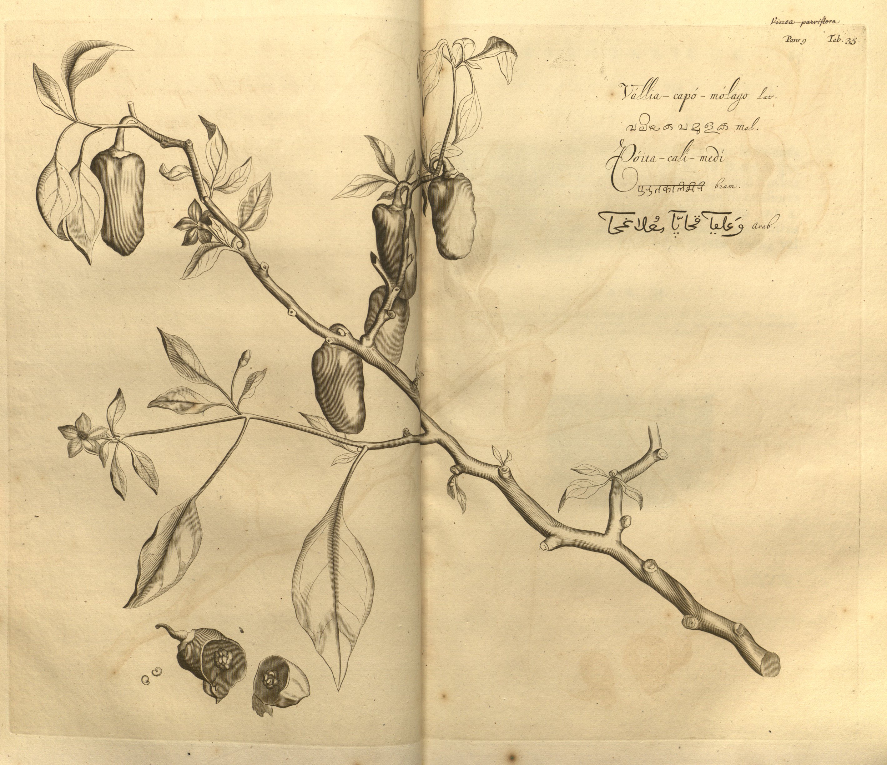 no full size  illustration available (3a)