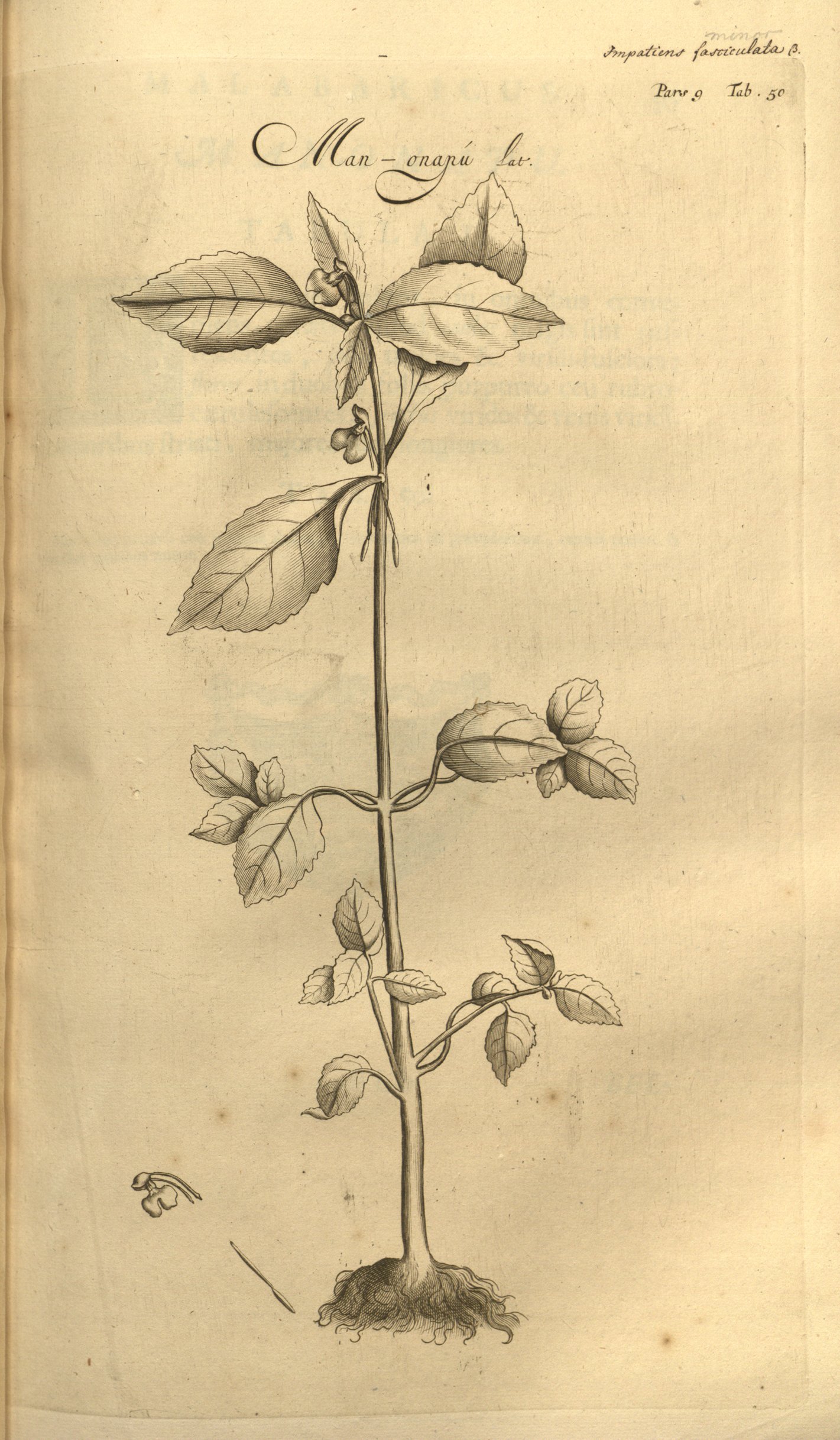 no full size  illustration available (3a)