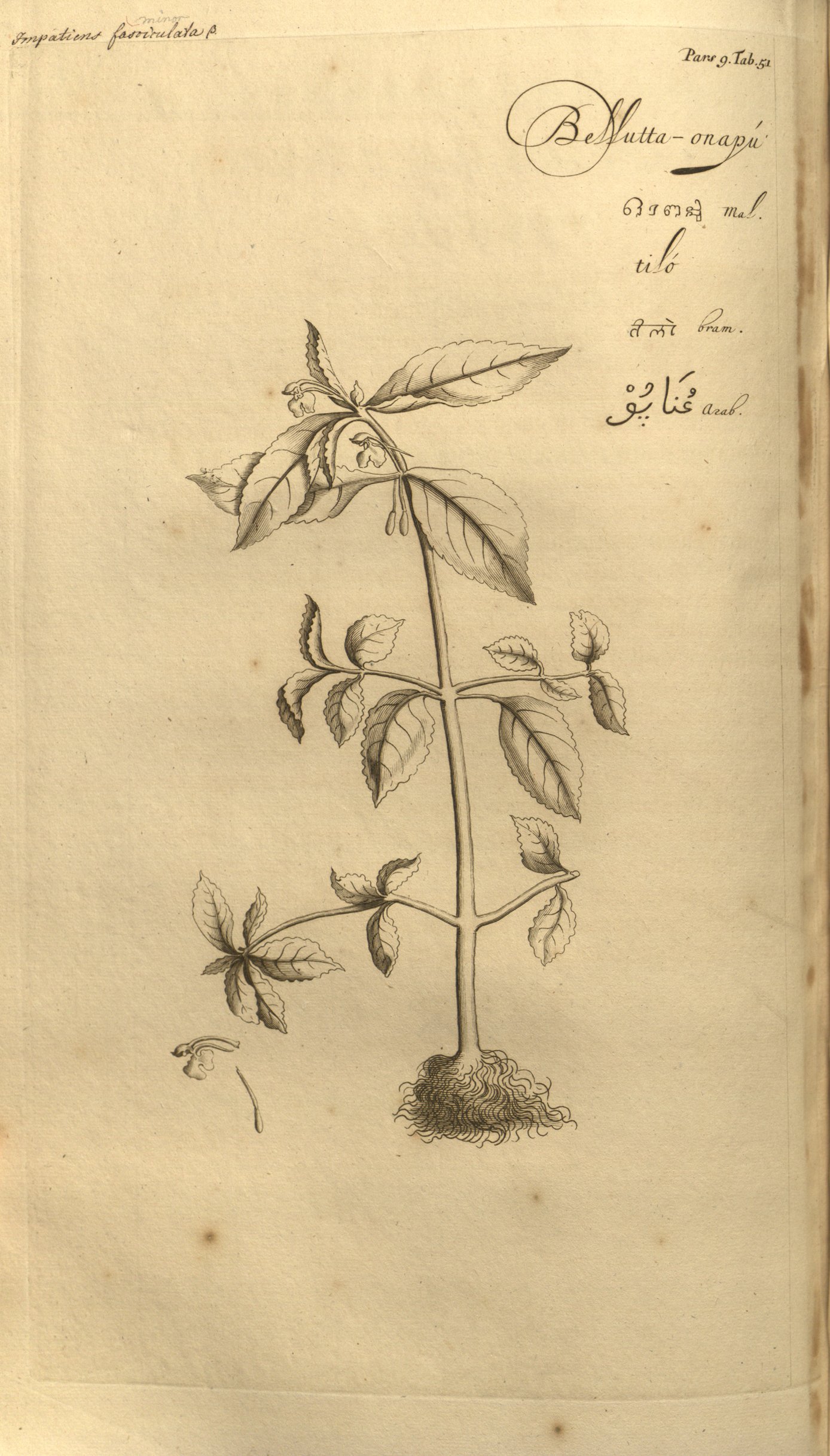 no full size  illustration available (3a)