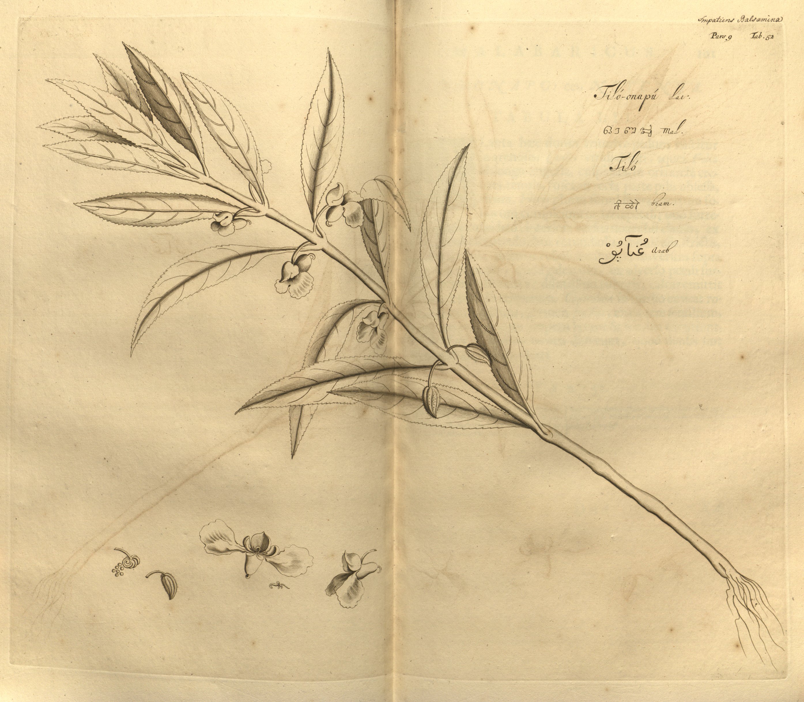 no full size  illustration available (3a)