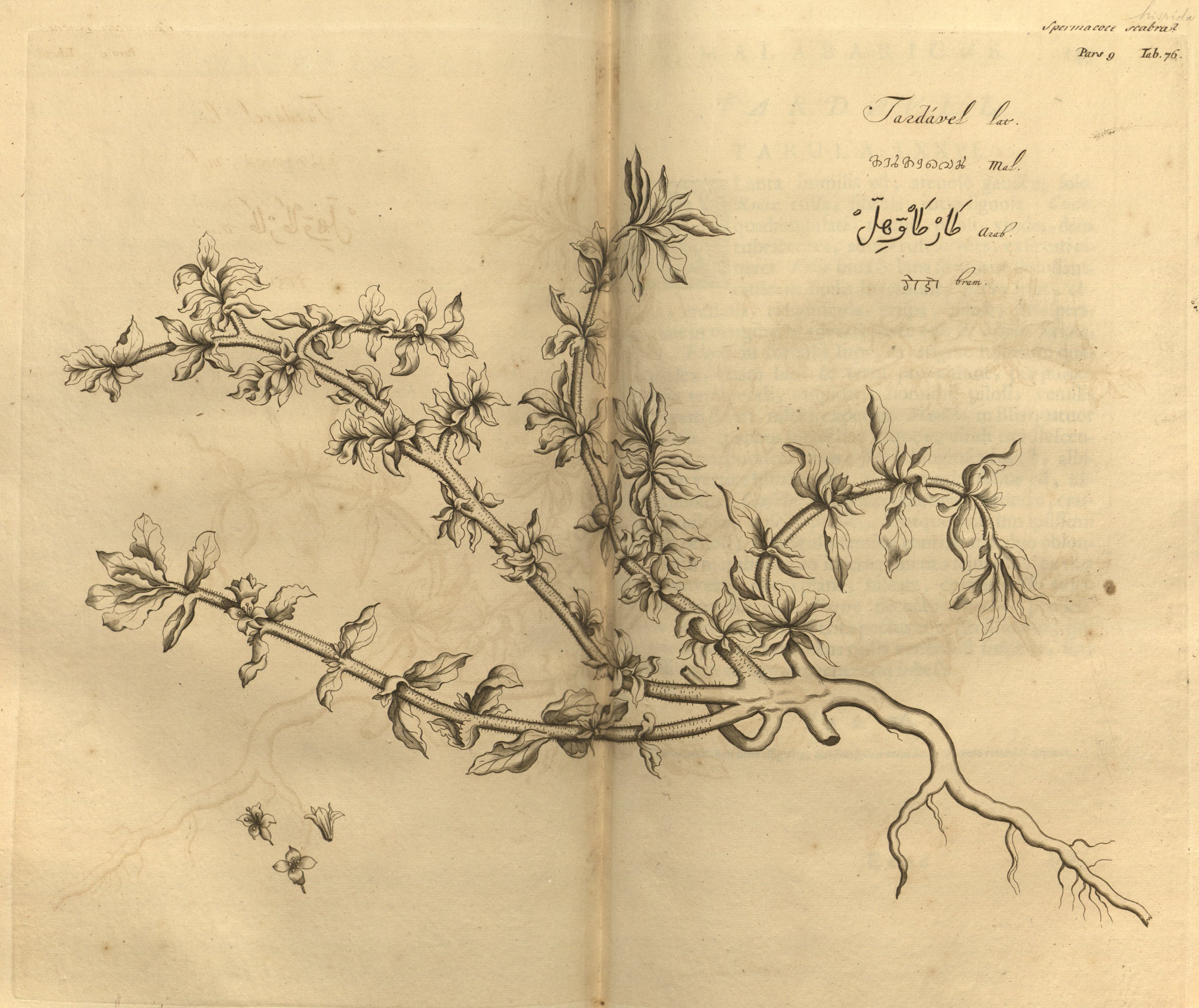 no full size  illustration available (3a)