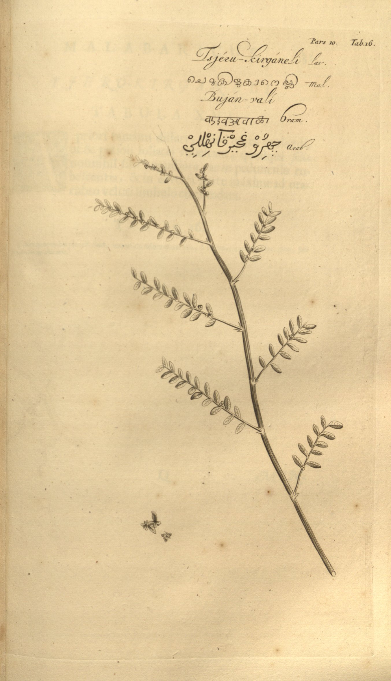 no full size  illustration available (3a)