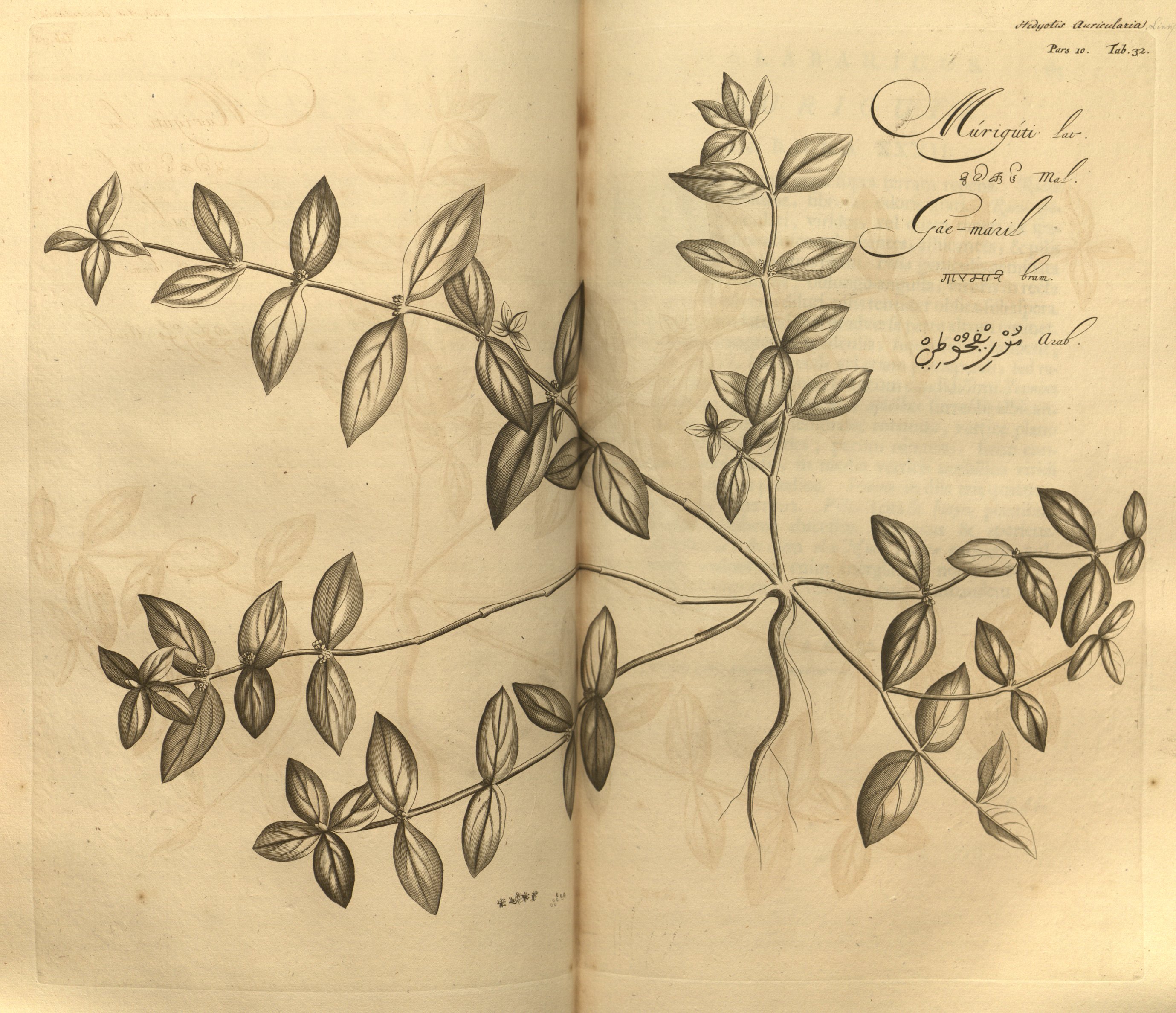 no full size  illustration available (3a)