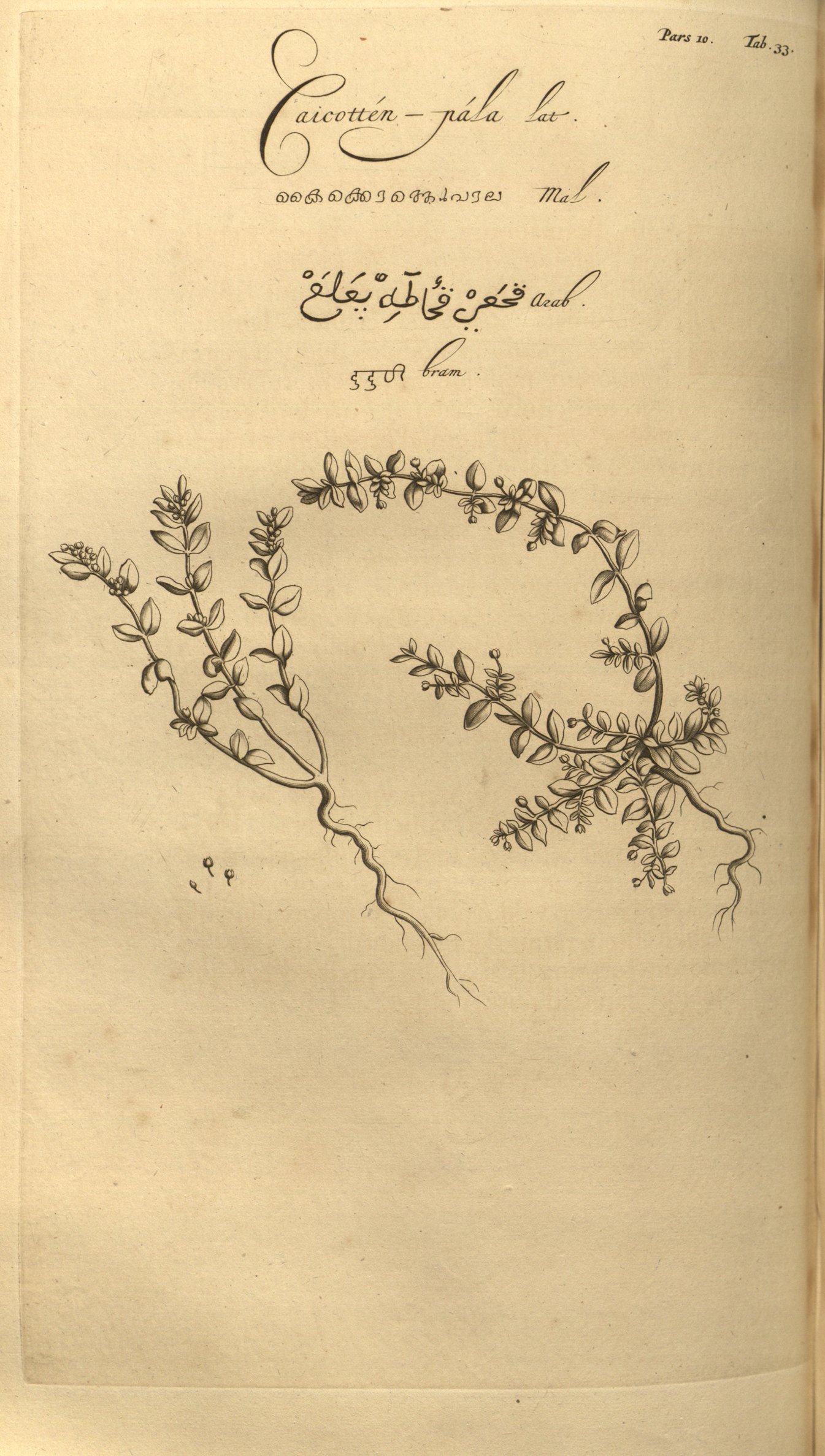 no full size  illustration available (3a)