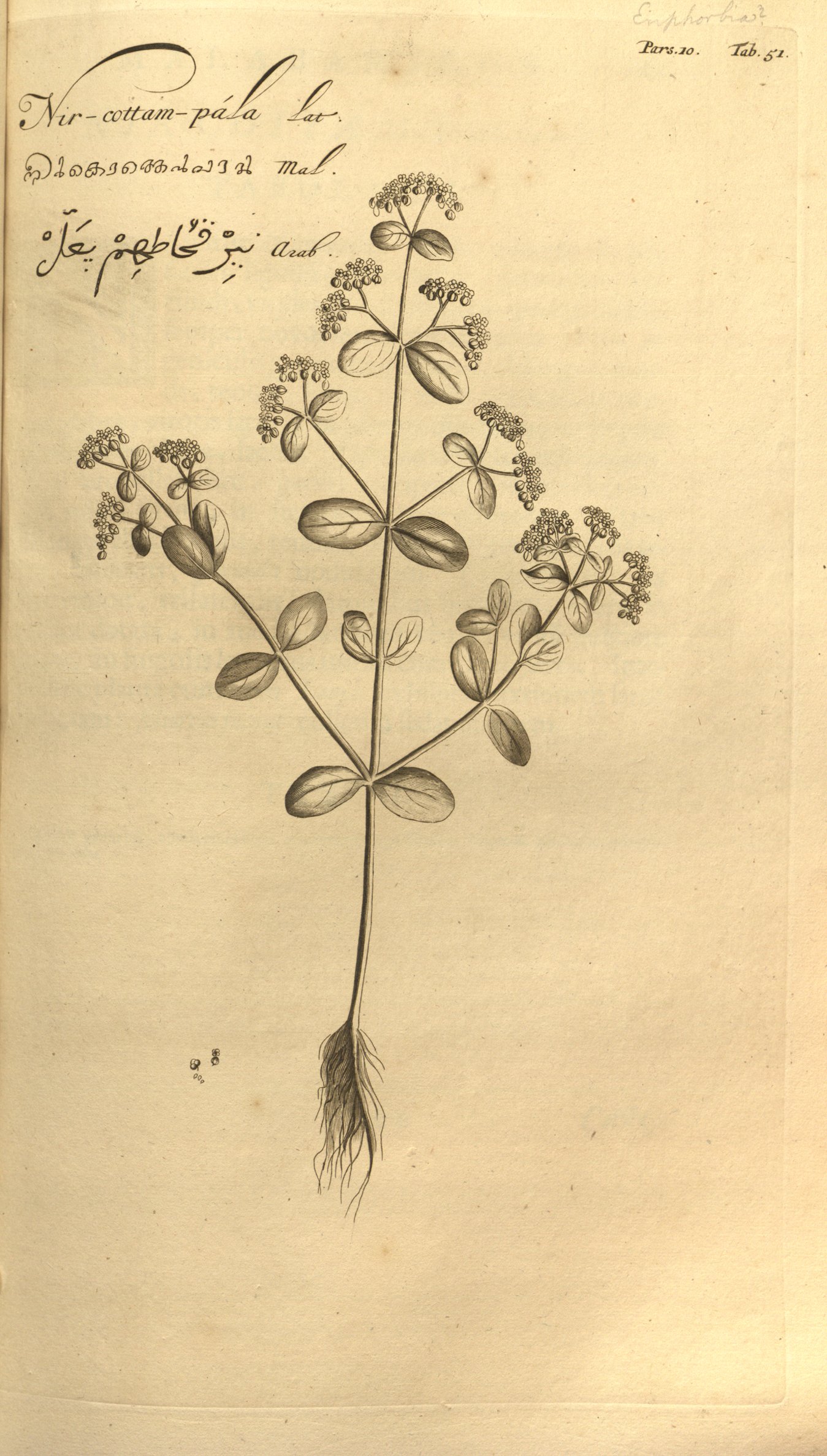 no full size  illustration available (3a)