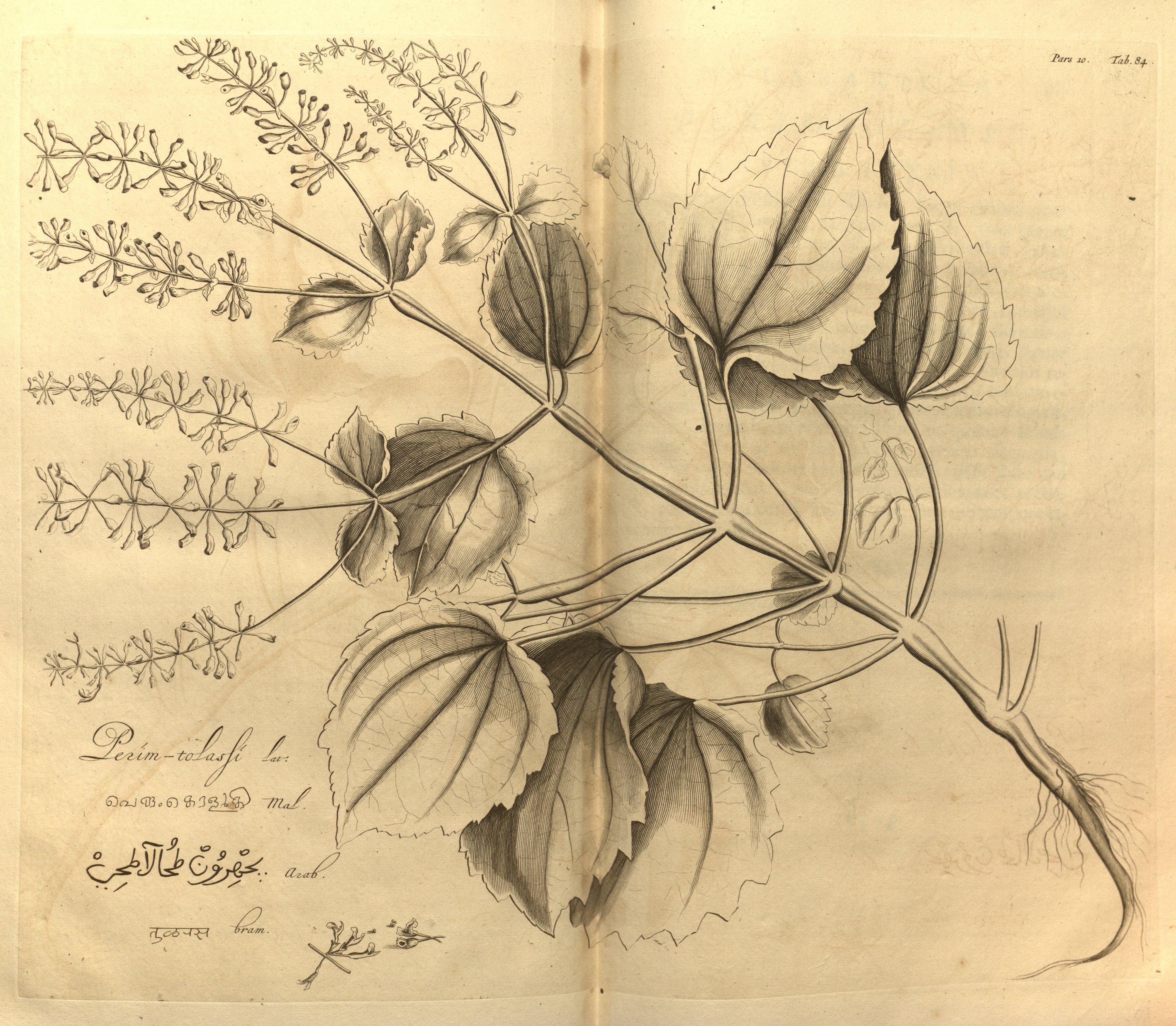 no full size  illustration available (3a)