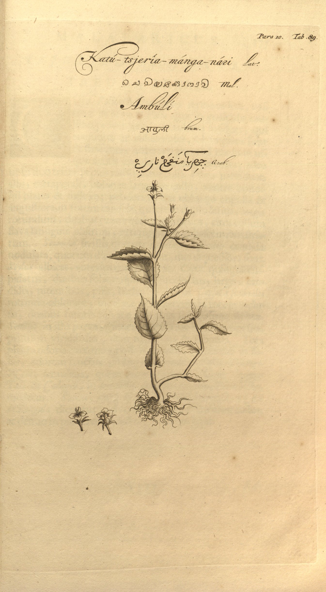 no full size  illustration available (3a)