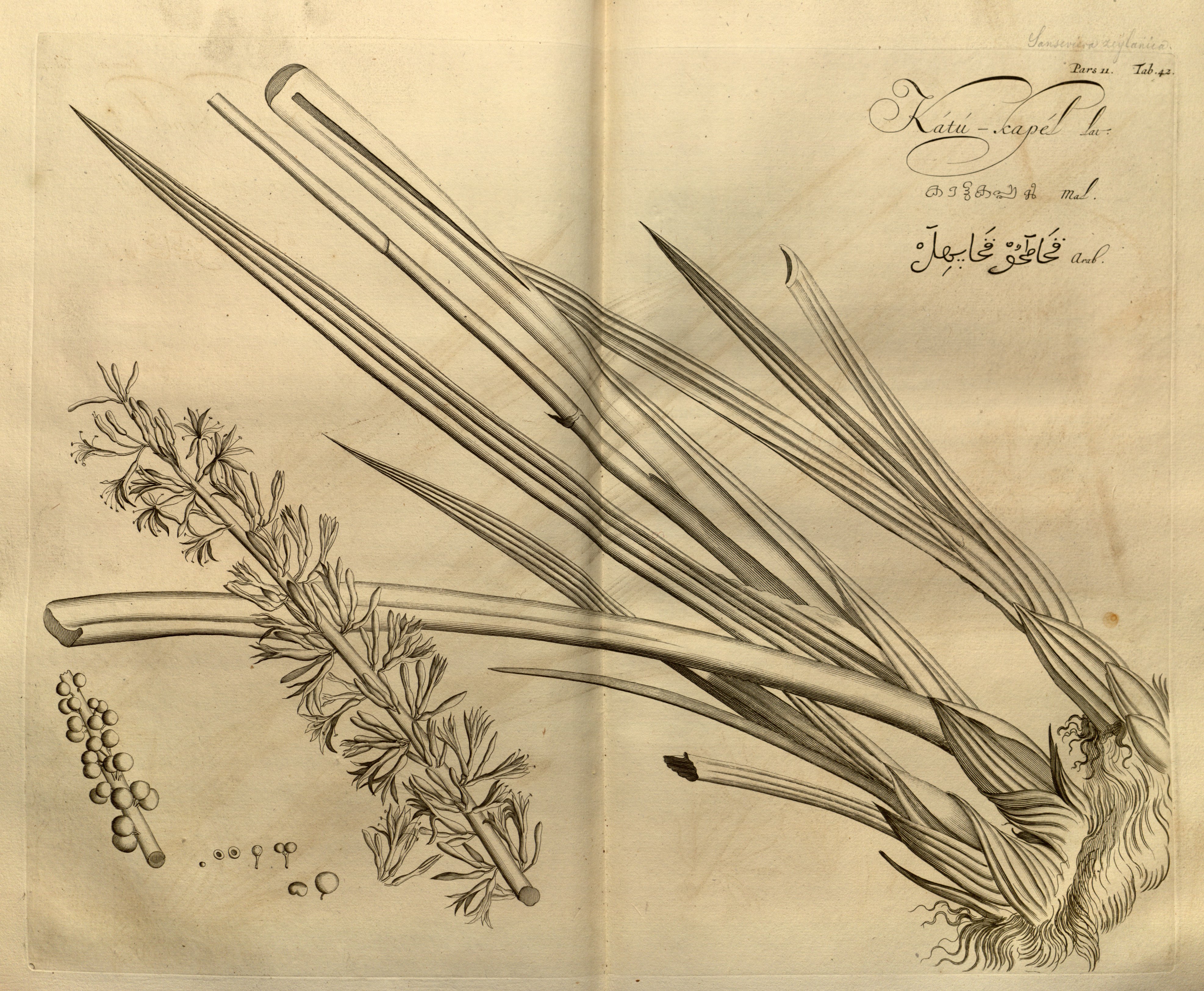 no full size  illustration available (3a)