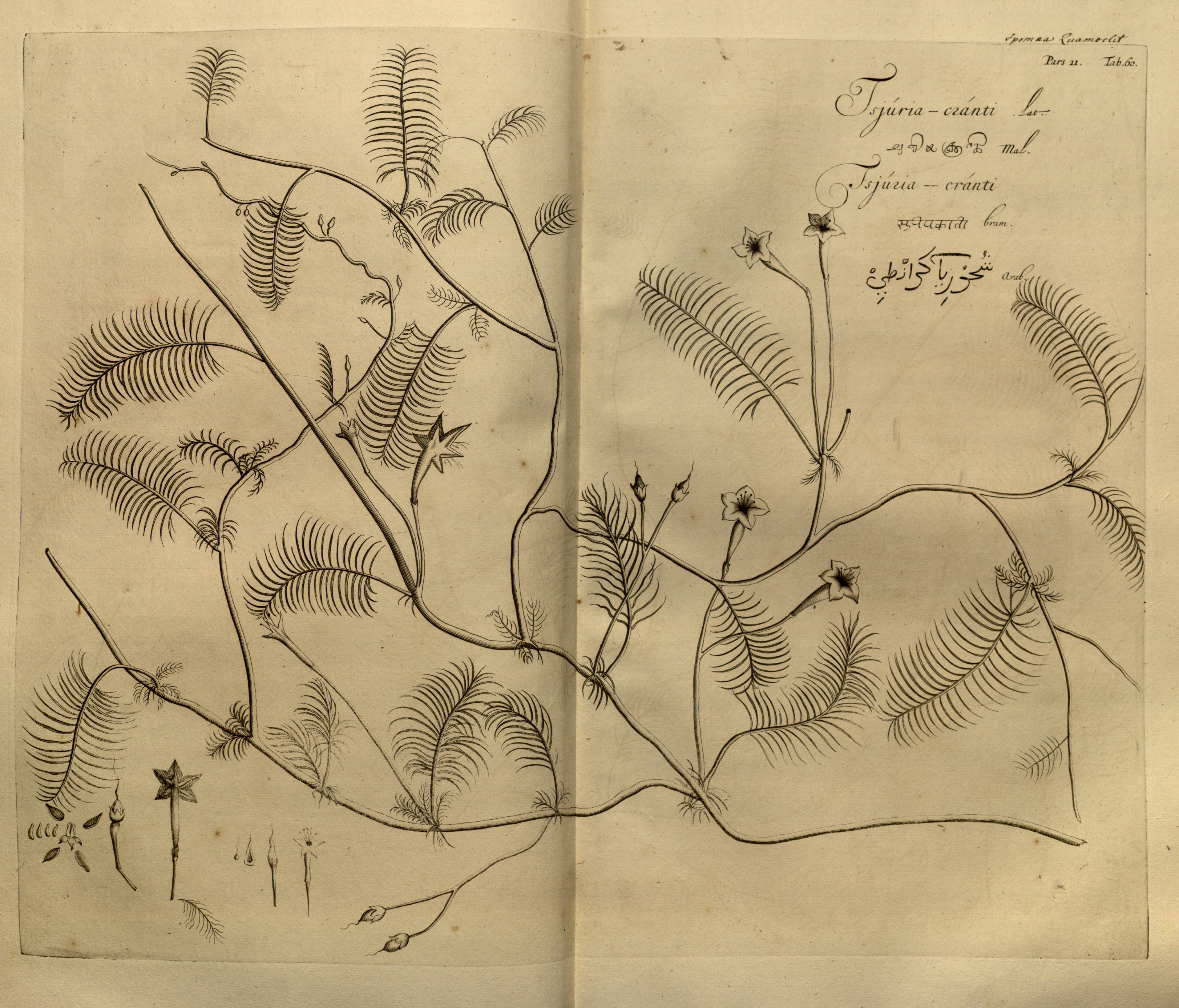 no full size  illustration available (3a)