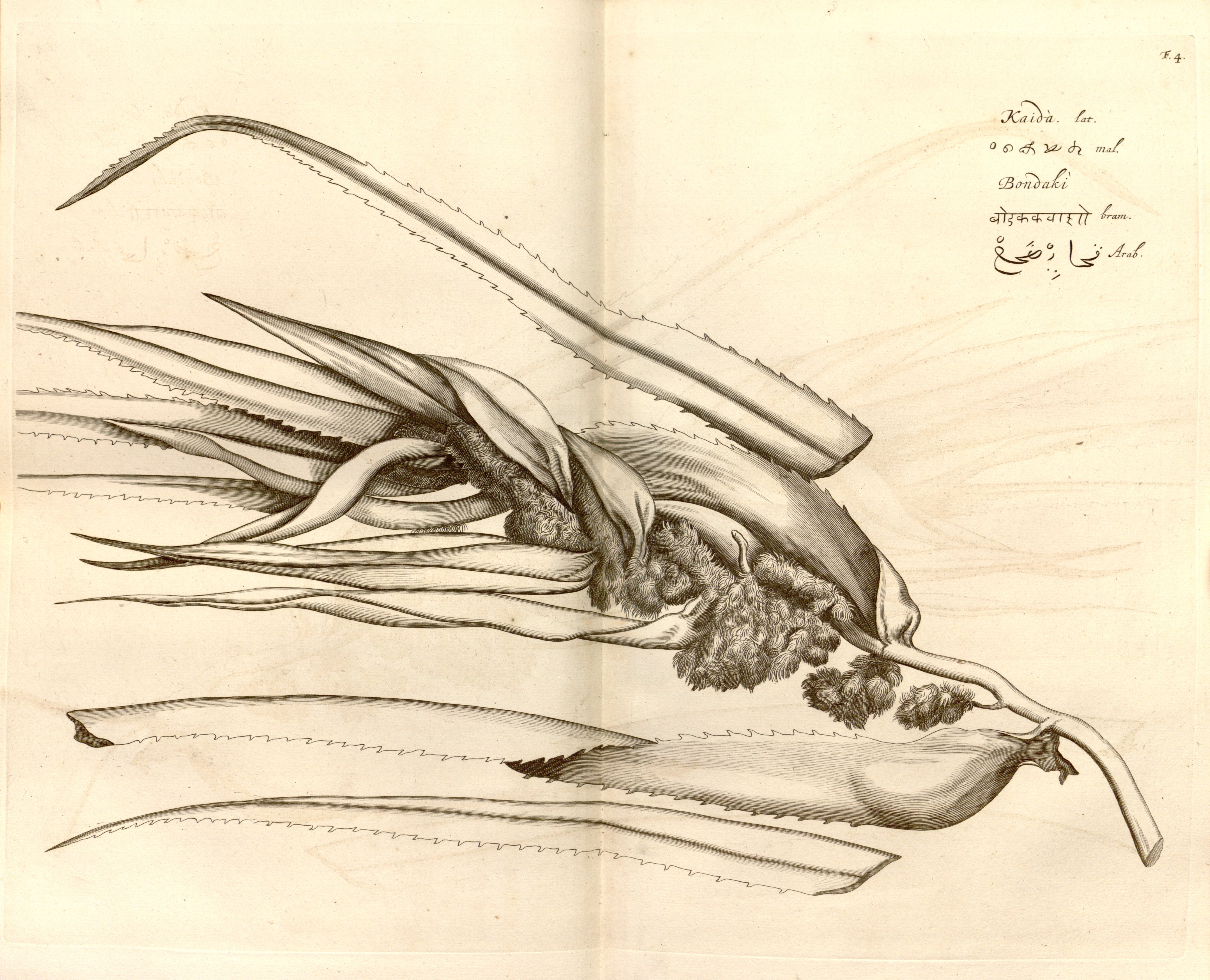 no full size  illustration available (3a)