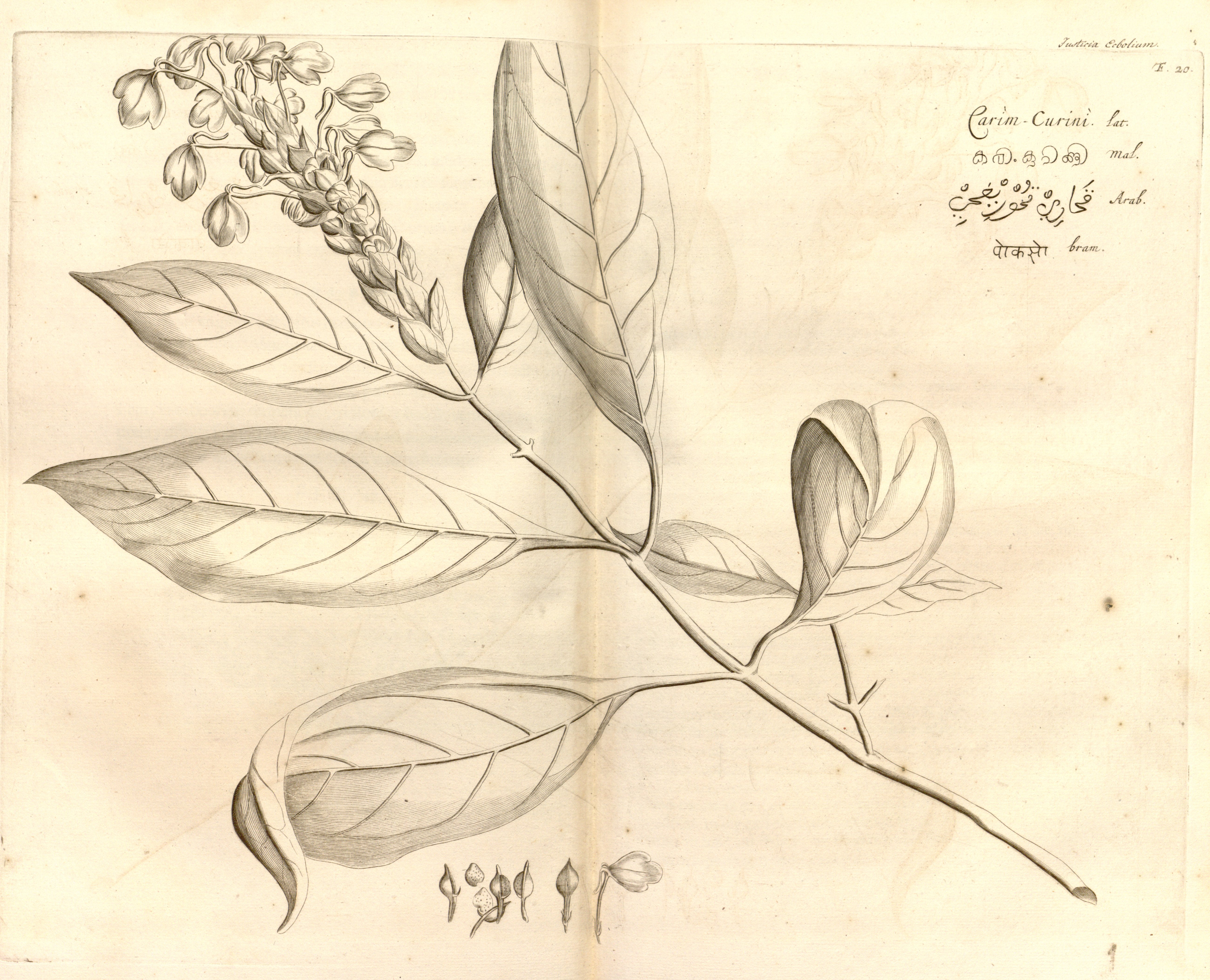 no full size  illustration available (3a)