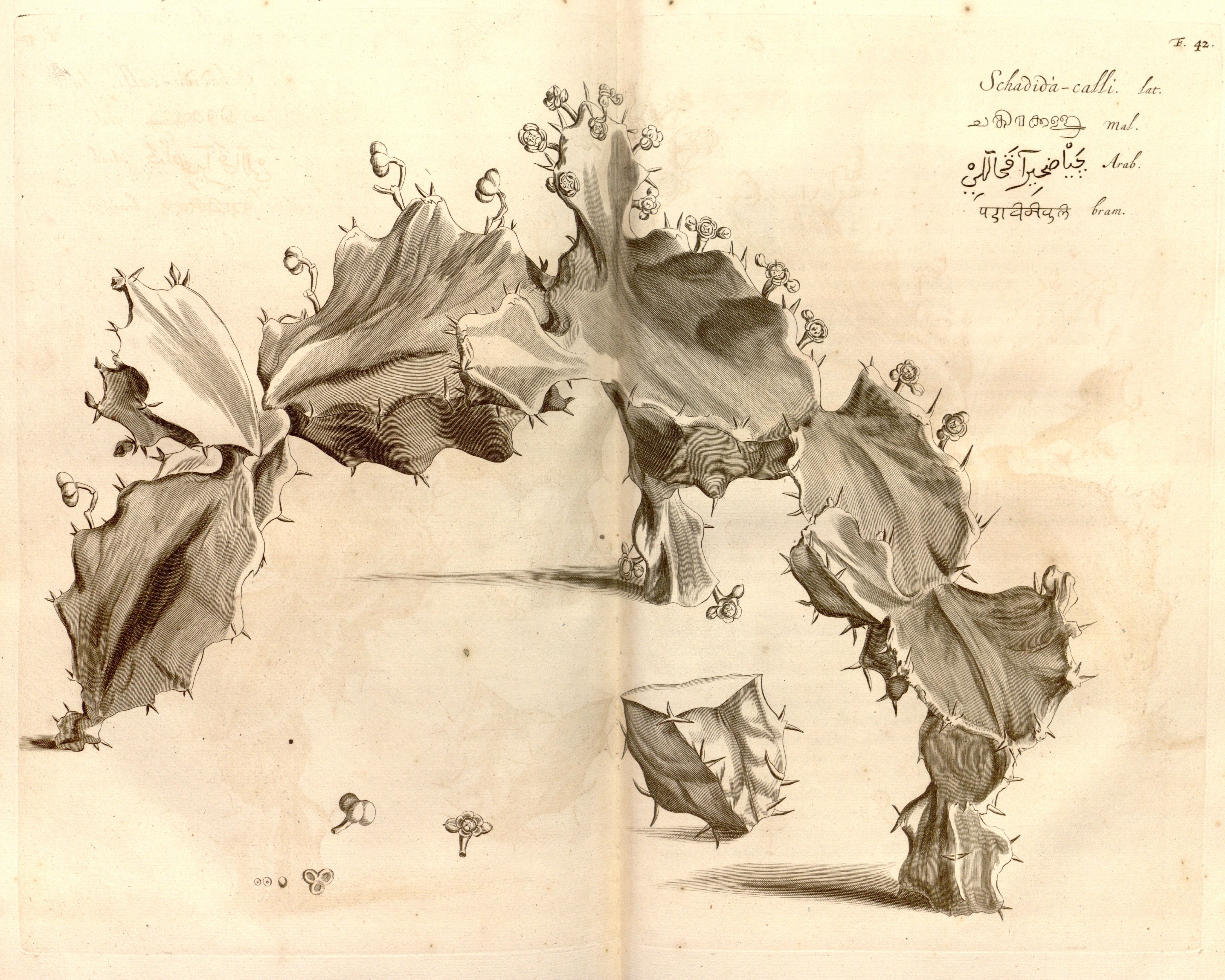 no full size  illustration available (3a)