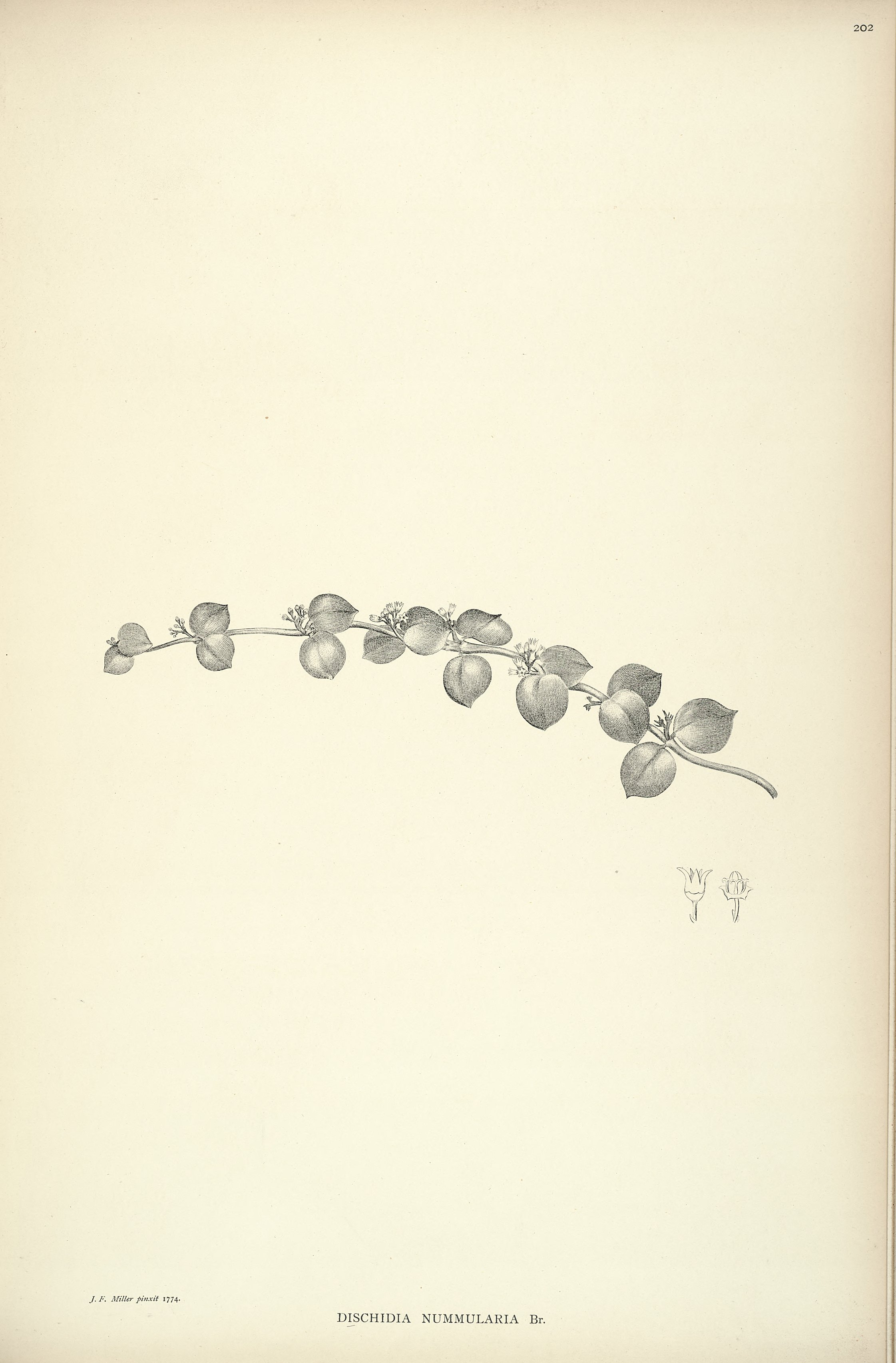 no full size  illustration available (3a)