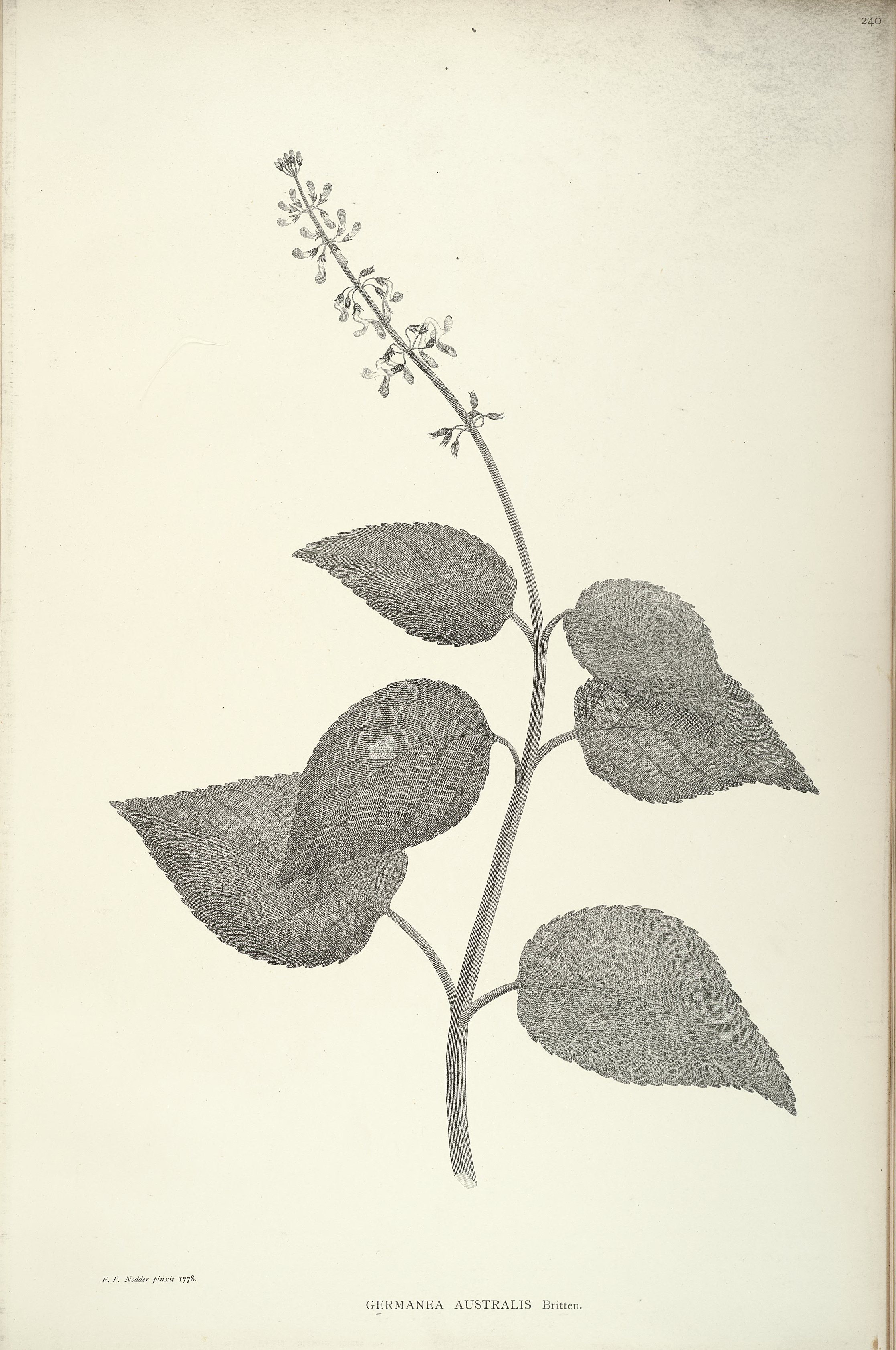 no full size  illustration available (3a)