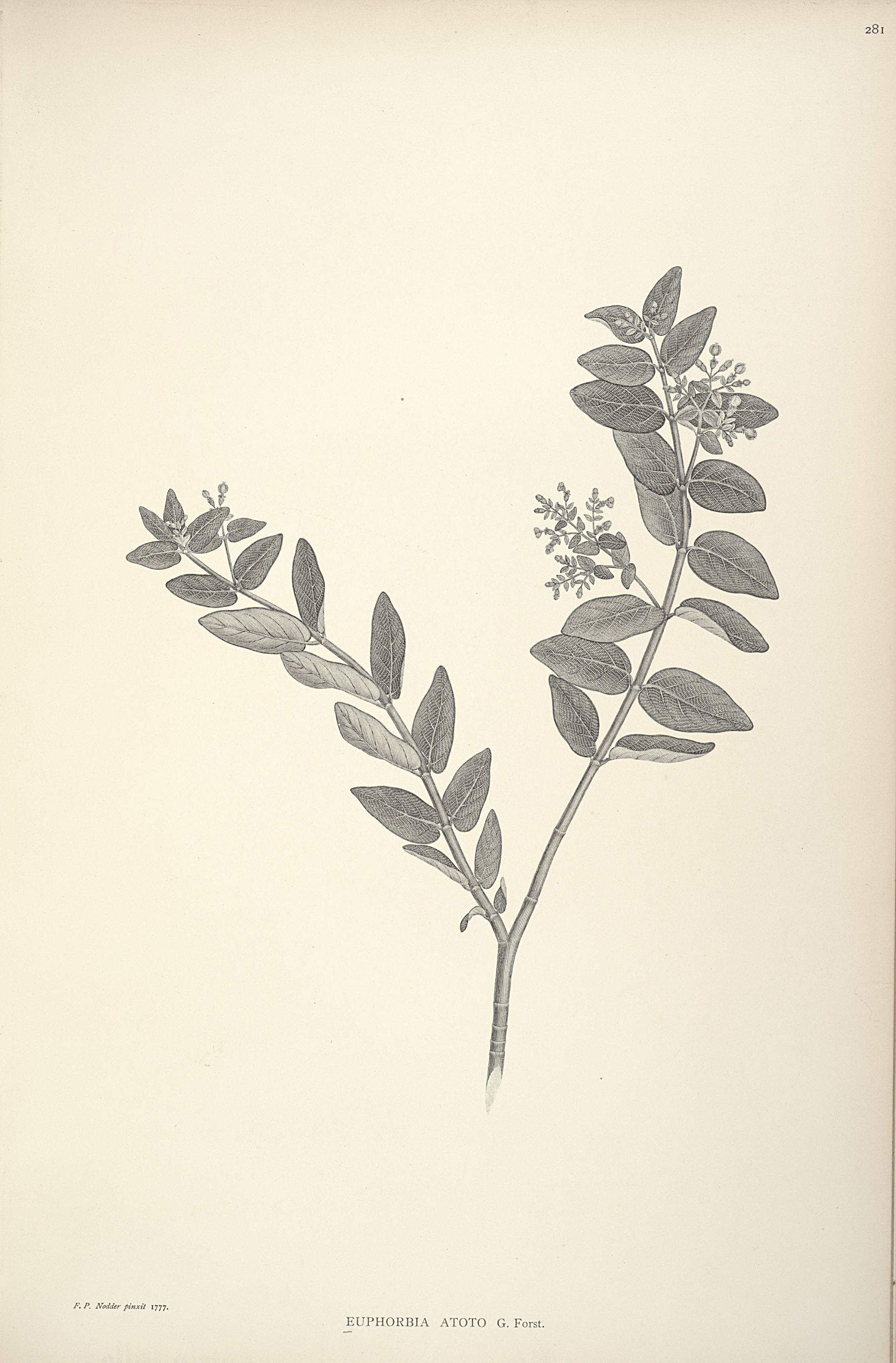 no full size  illustration available (3a)