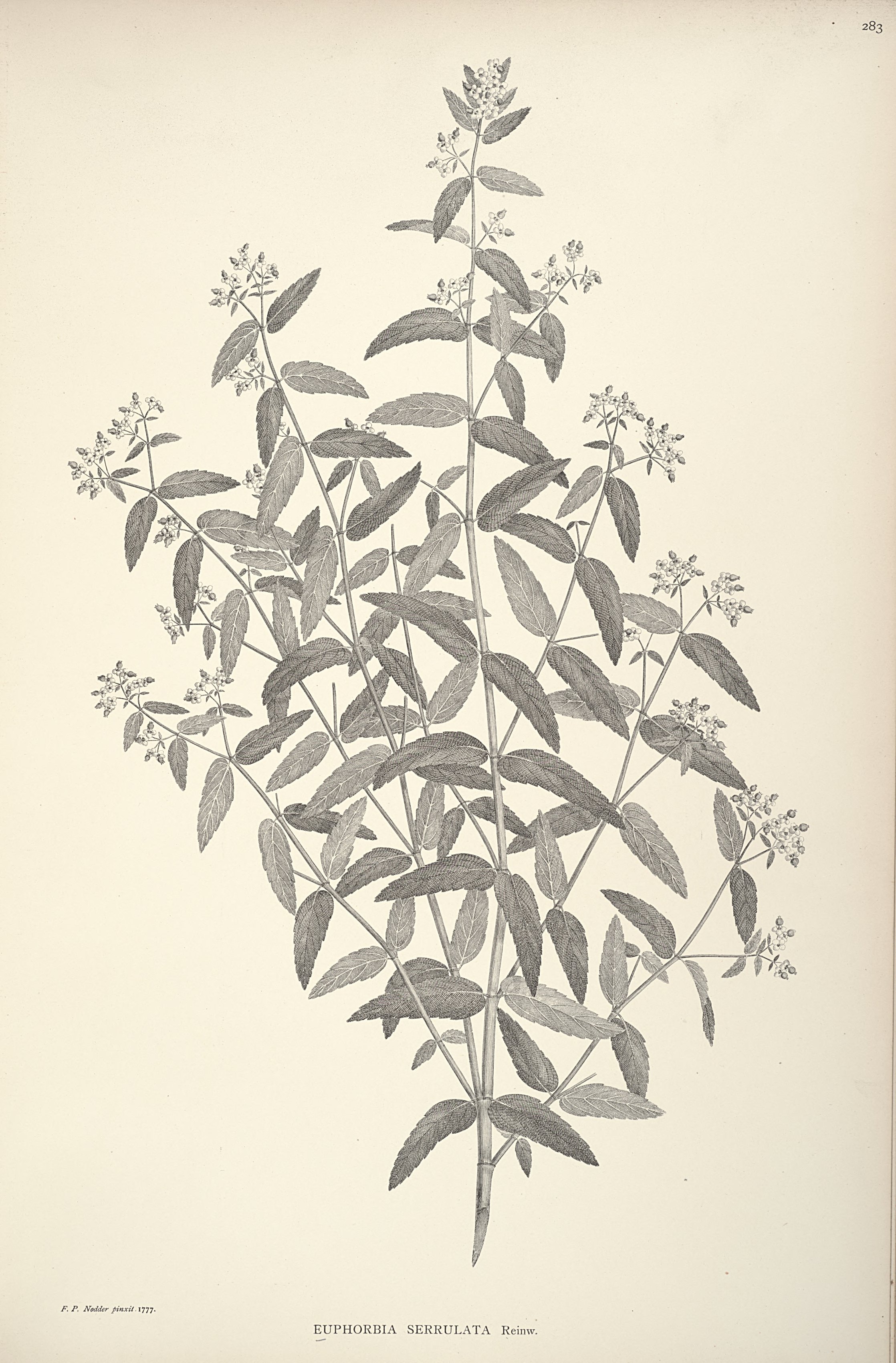 no full size  illustration available (3a)