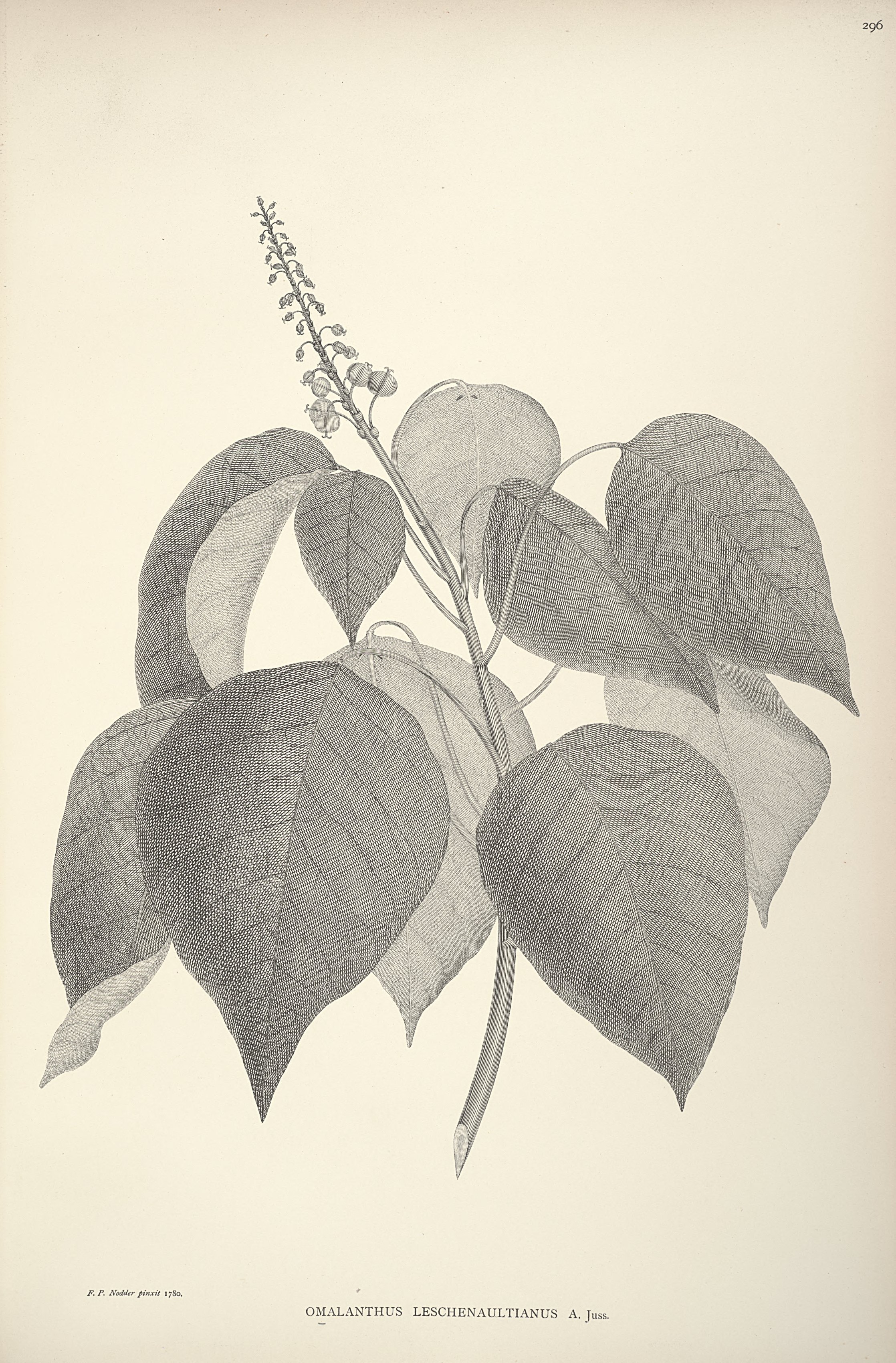 no full size  illustration available (3a)