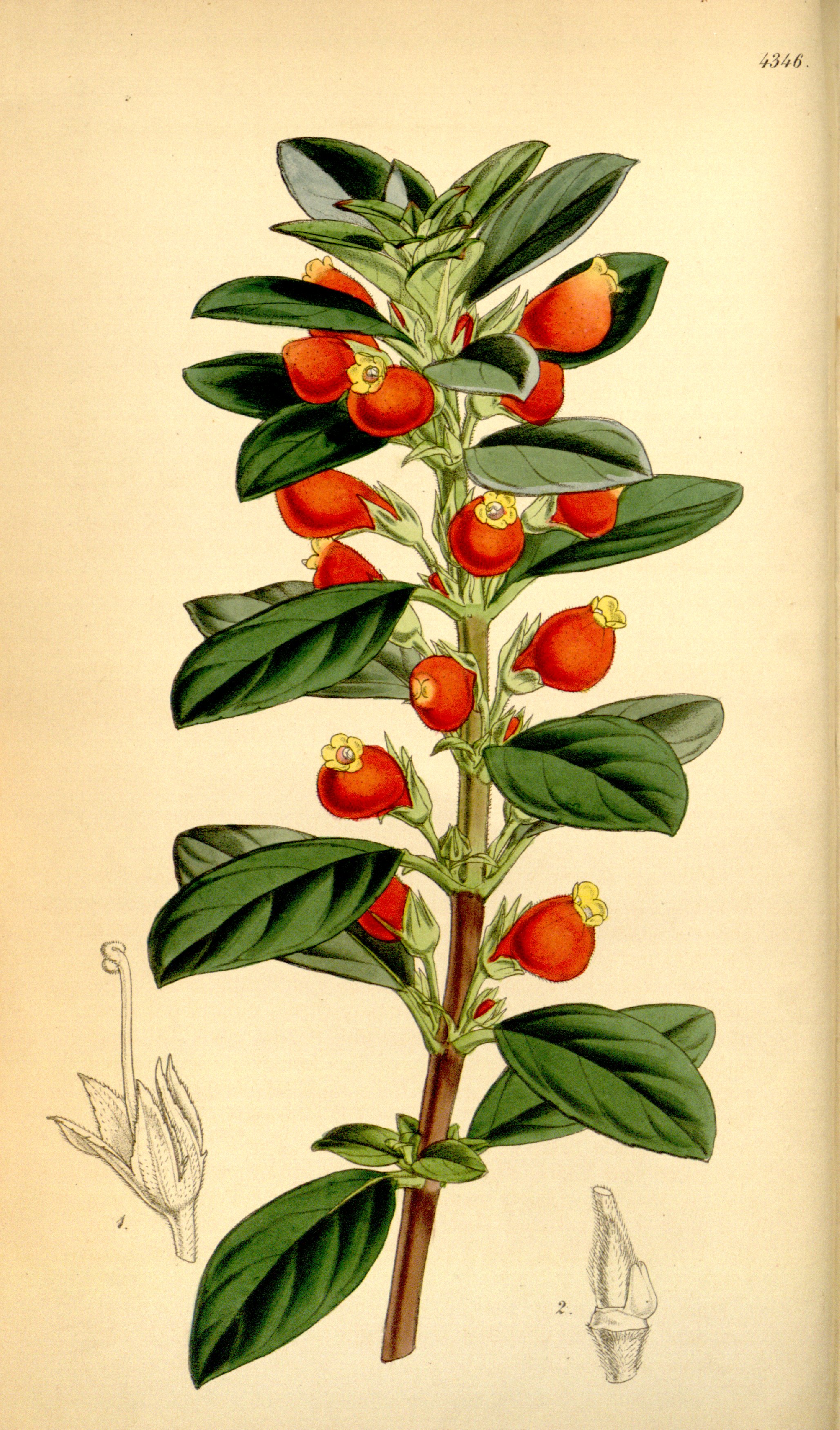 no full size  illustration available (3a)