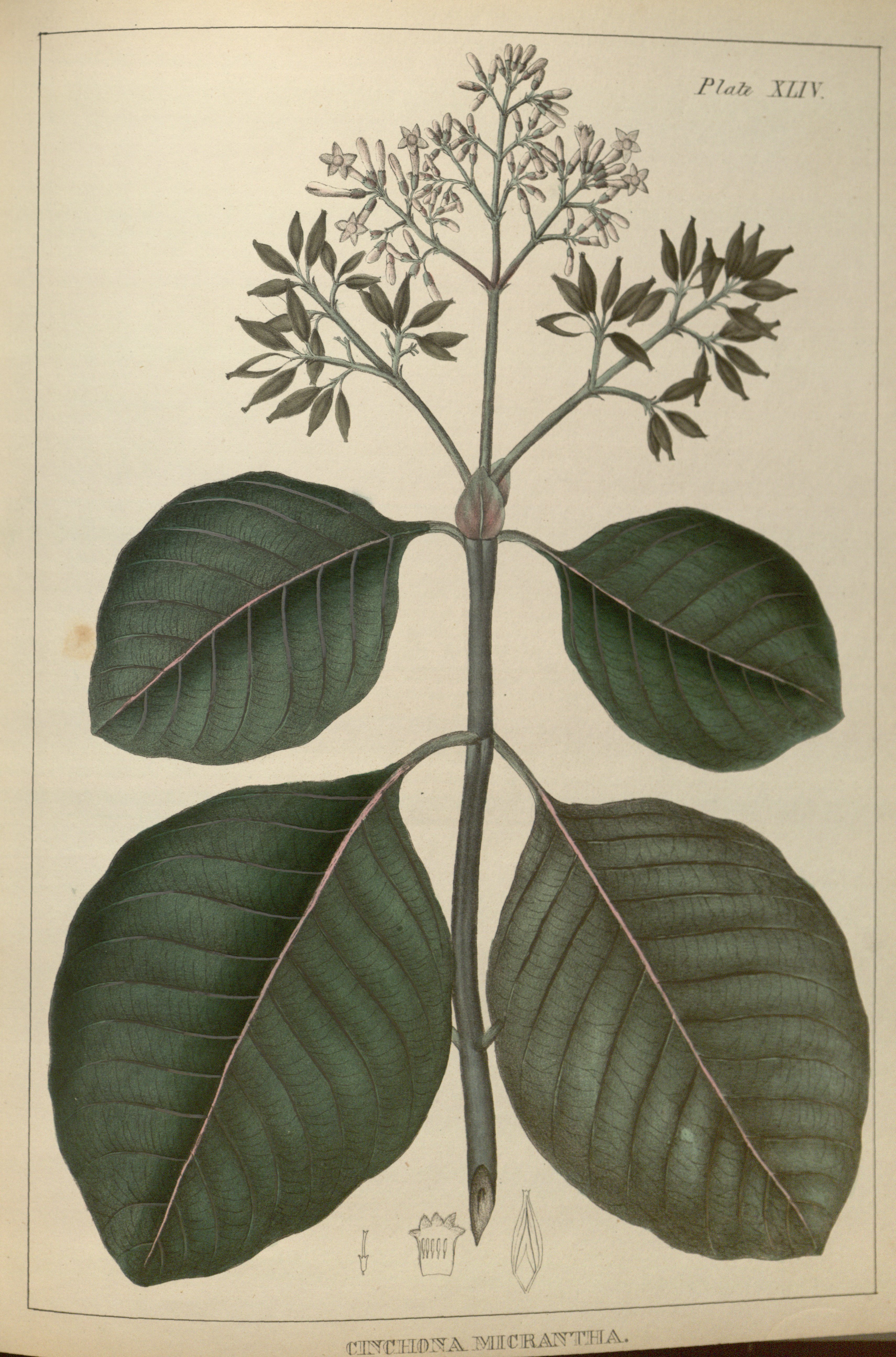 no full size  illustration available (3a)