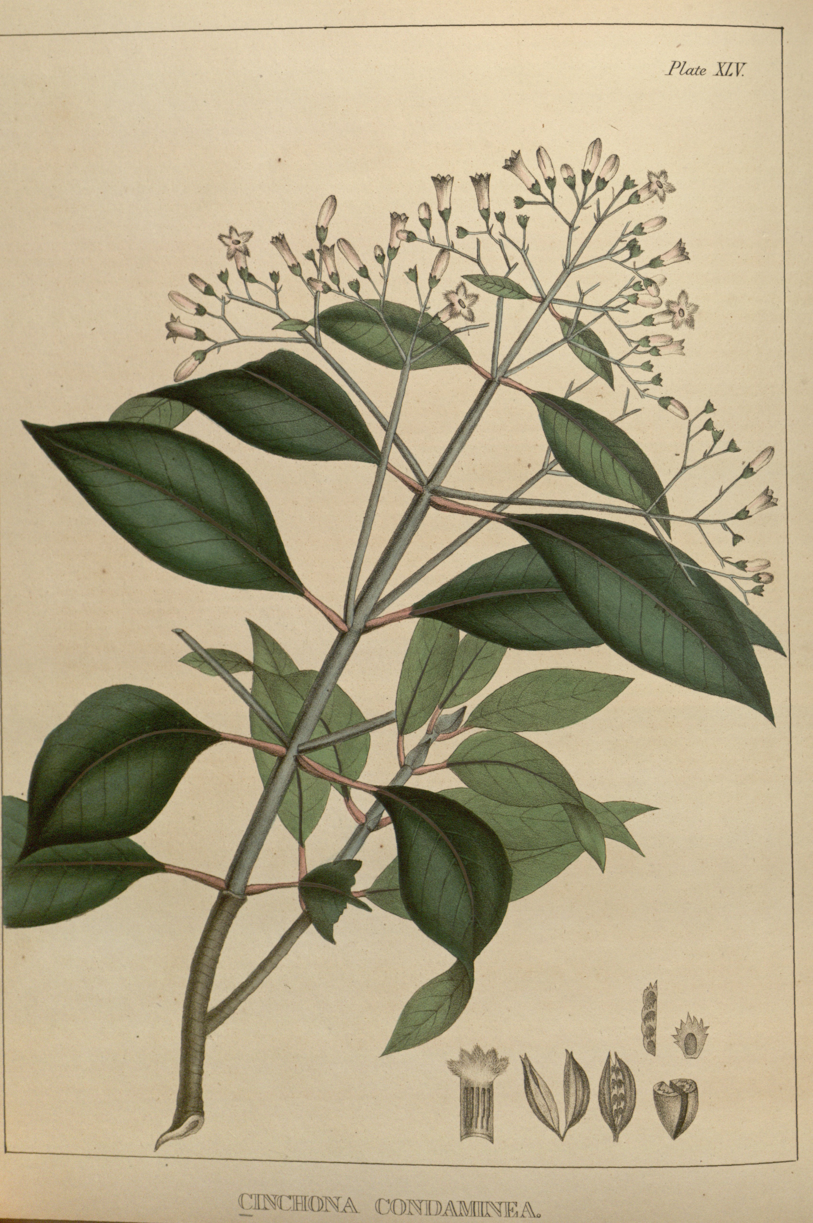 no full size  illustration available (3a)