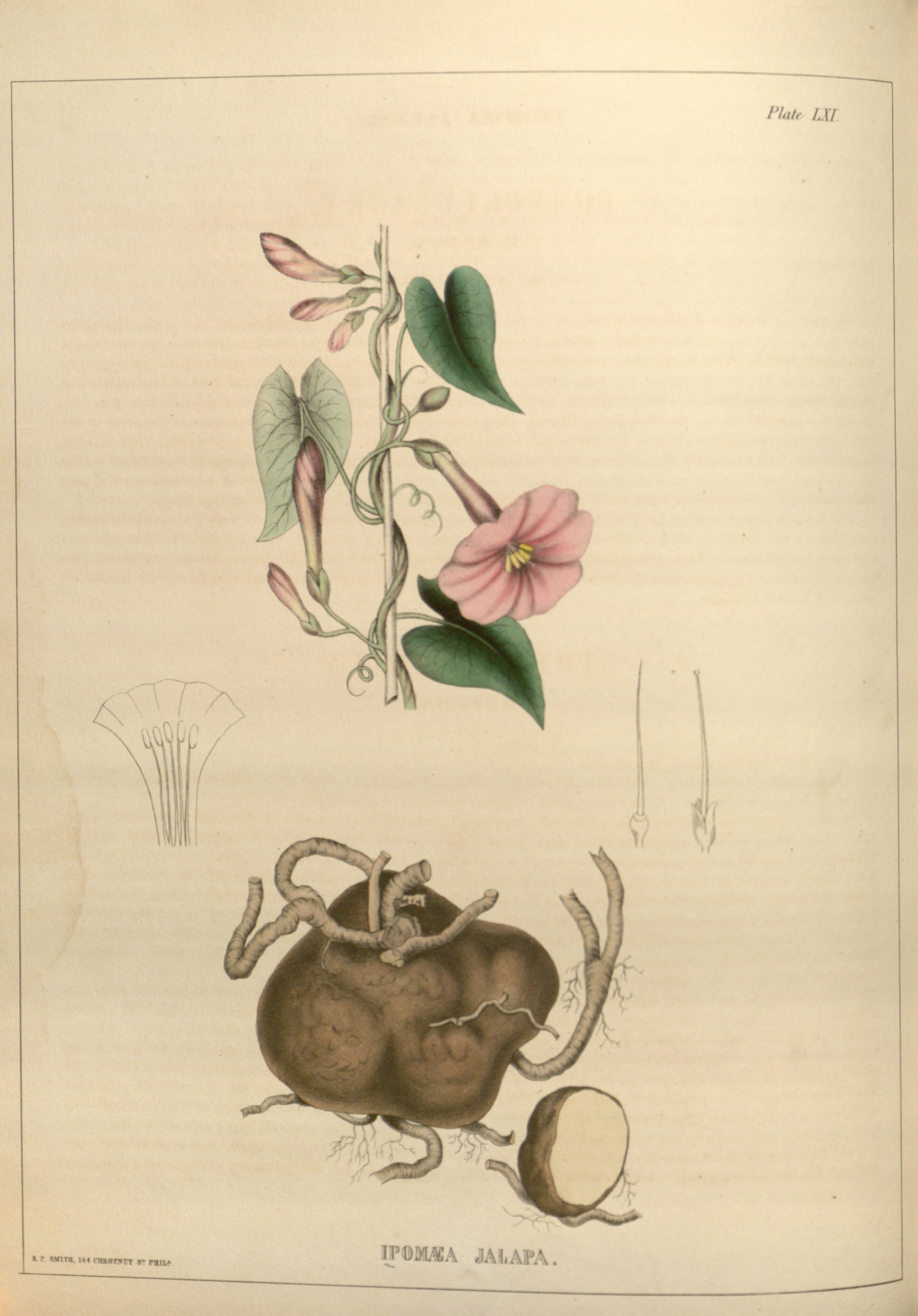 no full size  illustration available (3a)