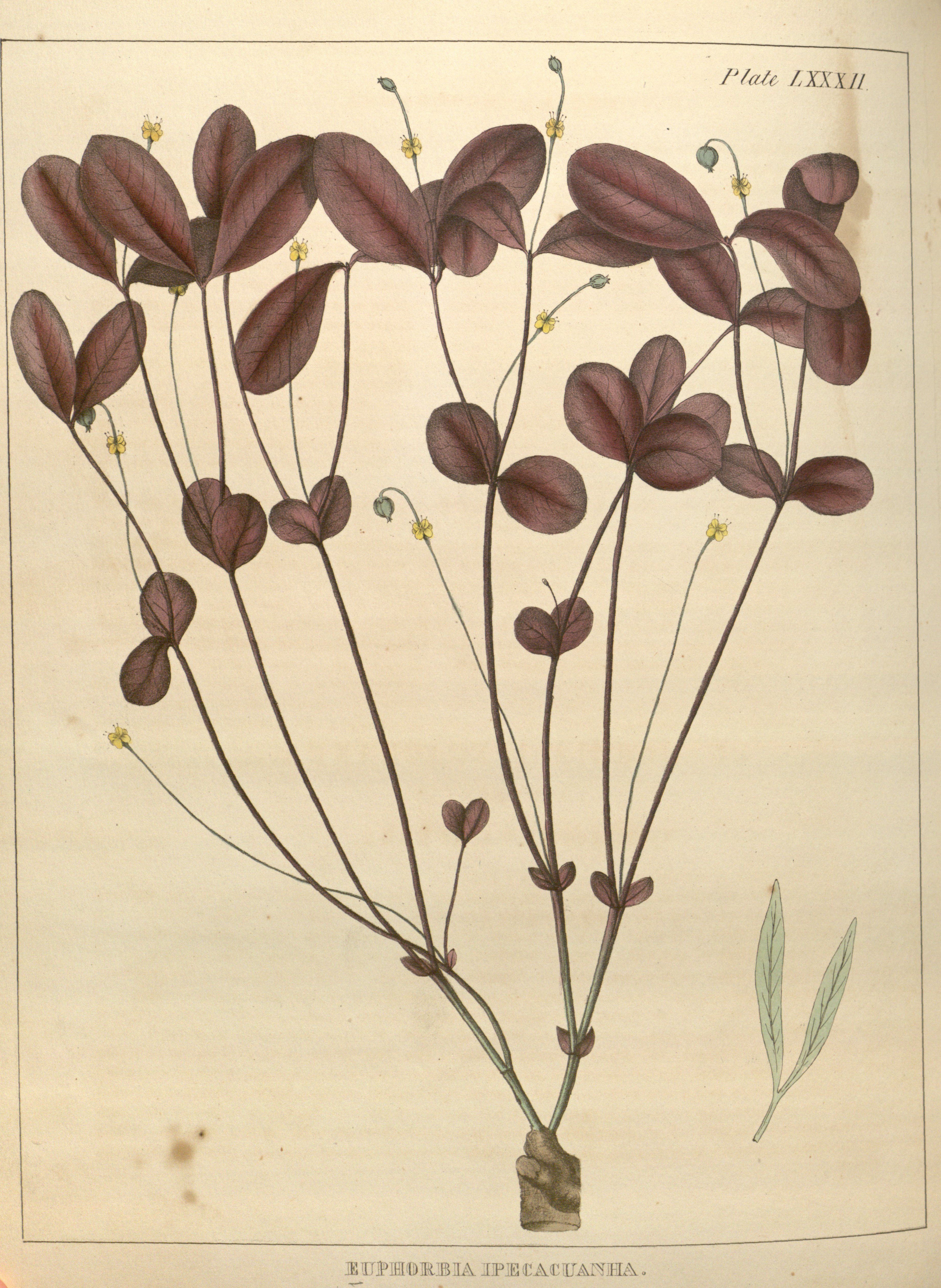 no full size  illustration available (3a)