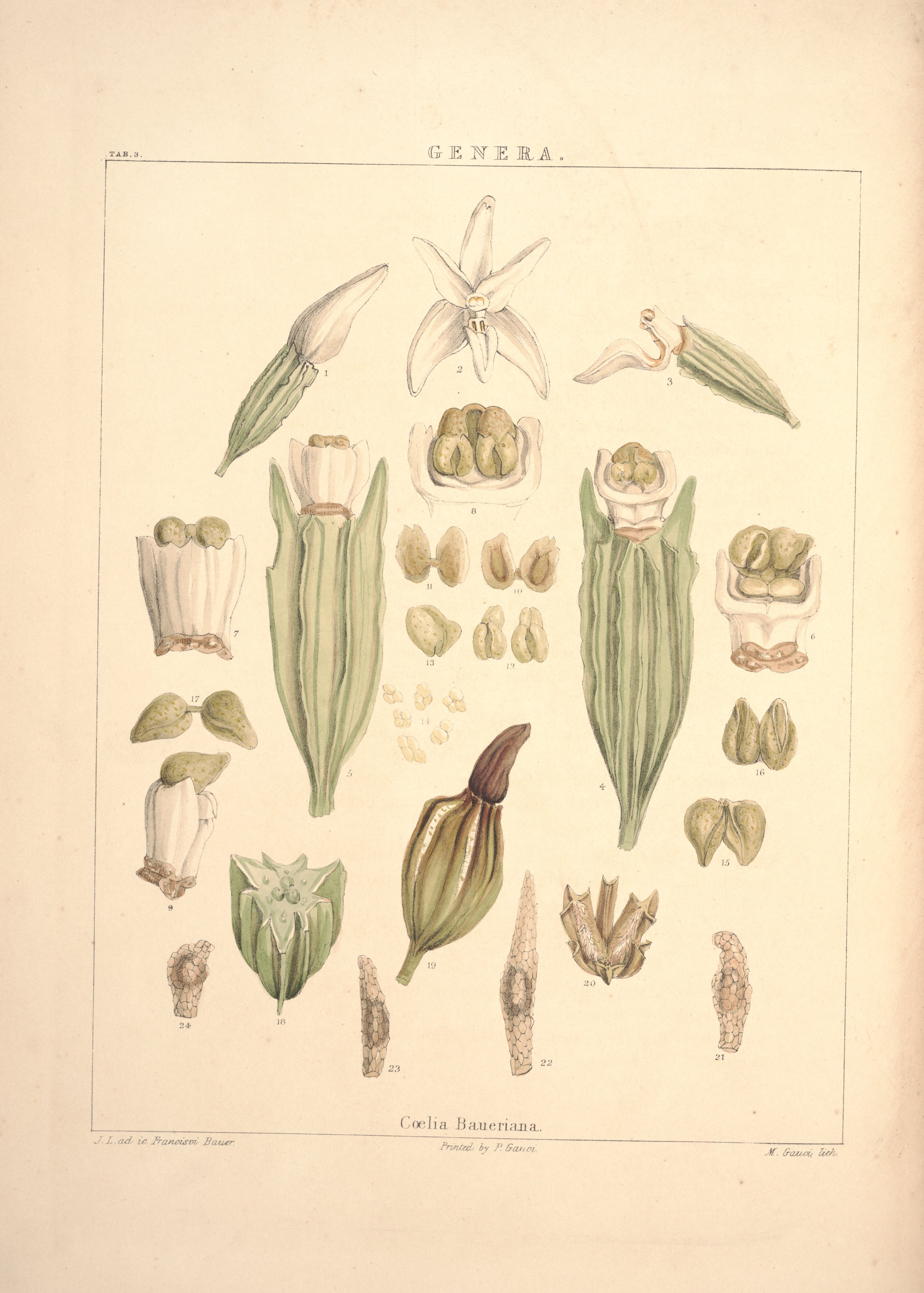 no full size  illustration available (3a)