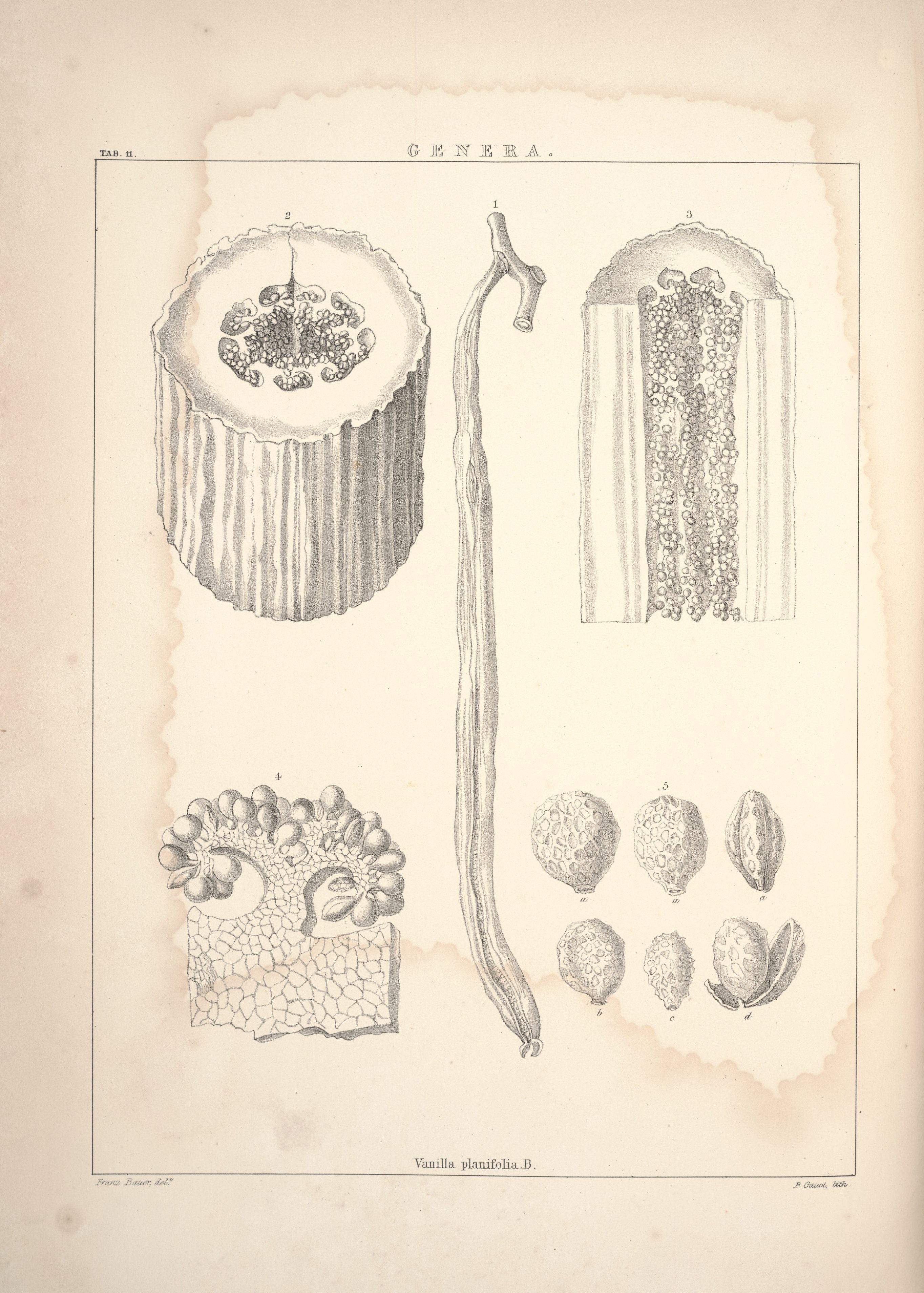 no full size  illustration available (3a)