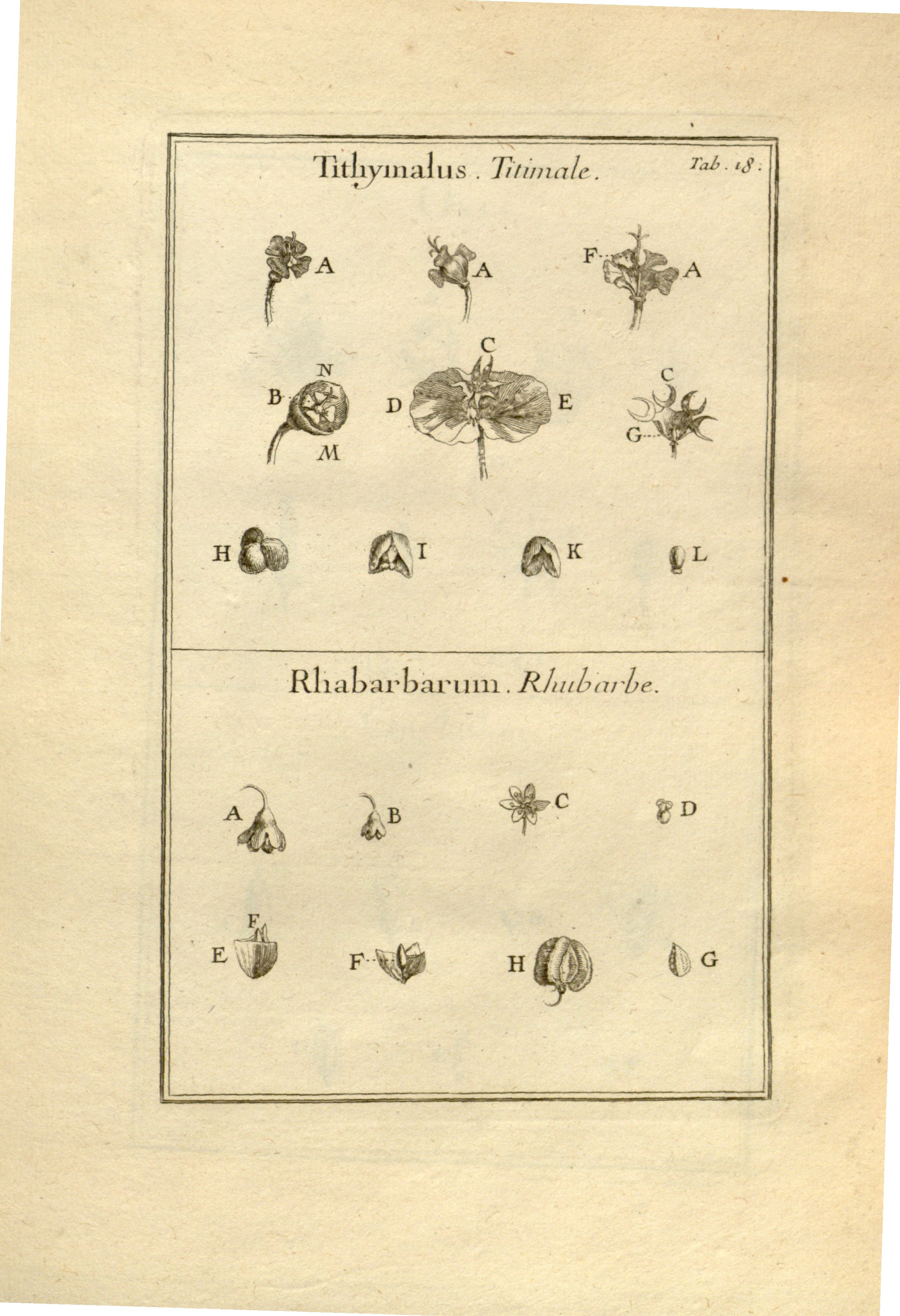 no full size  illustration available (3a)