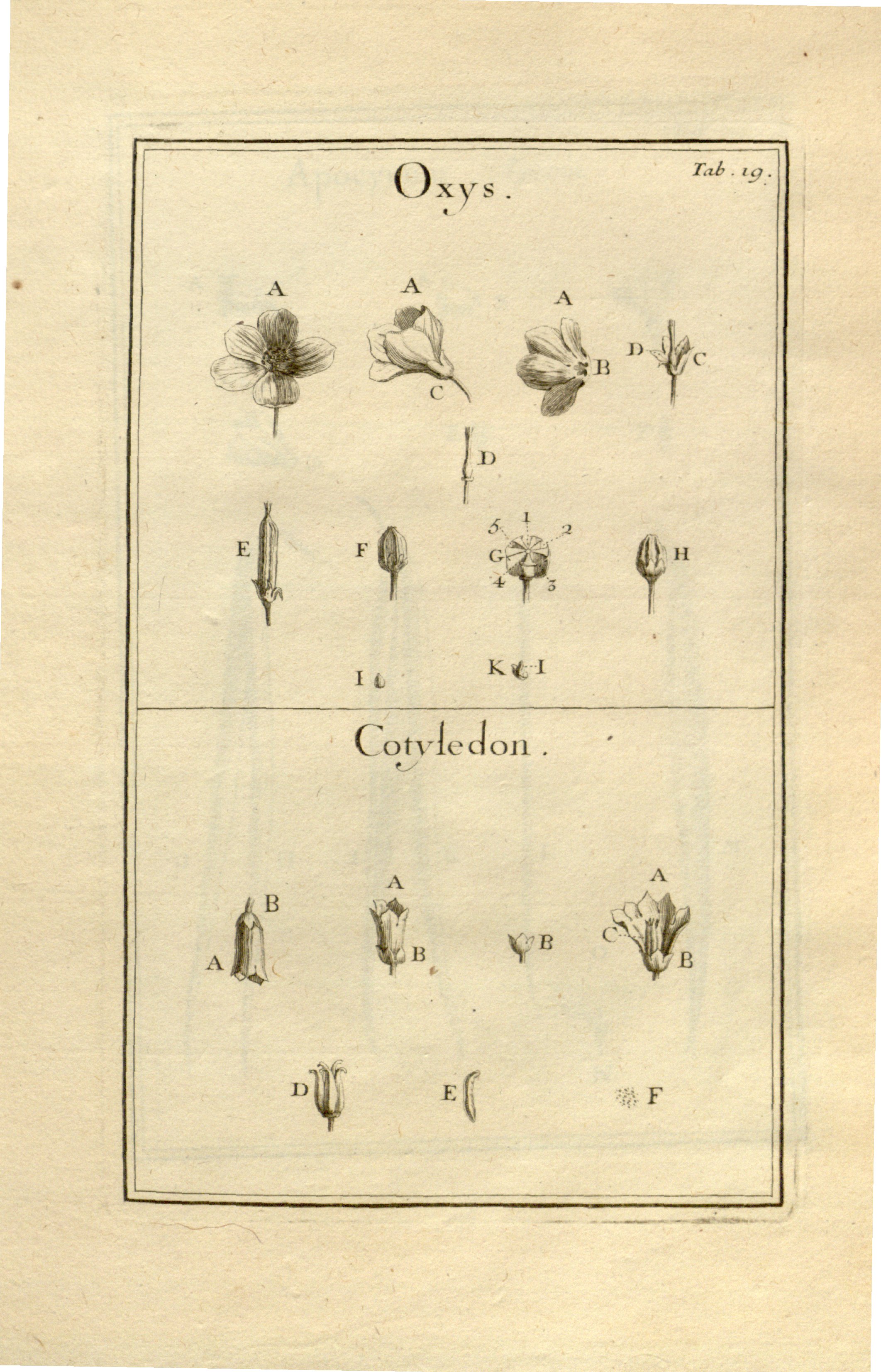 no full size  illustration available (3a)