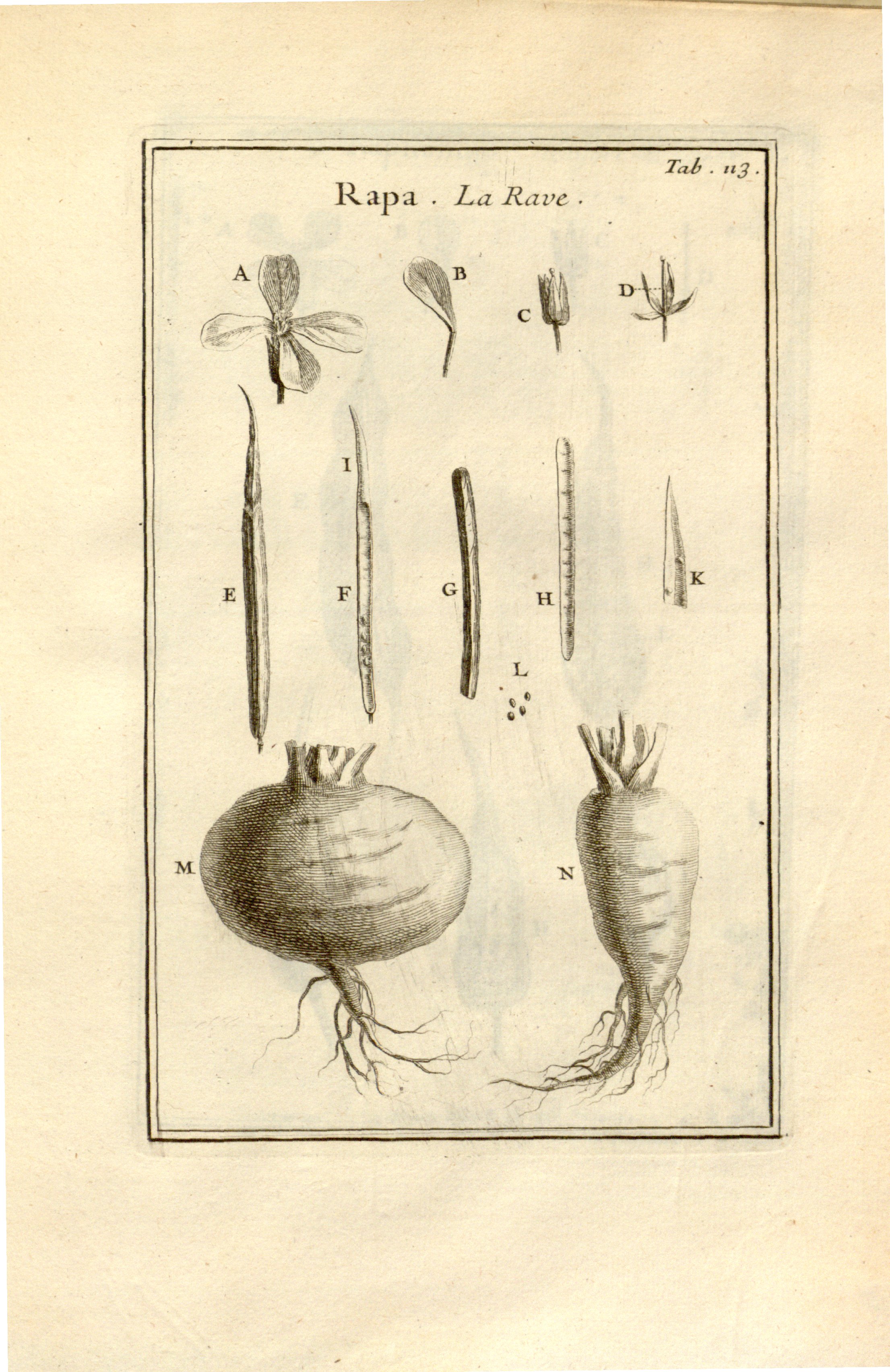 no full size  illustration available (3a)