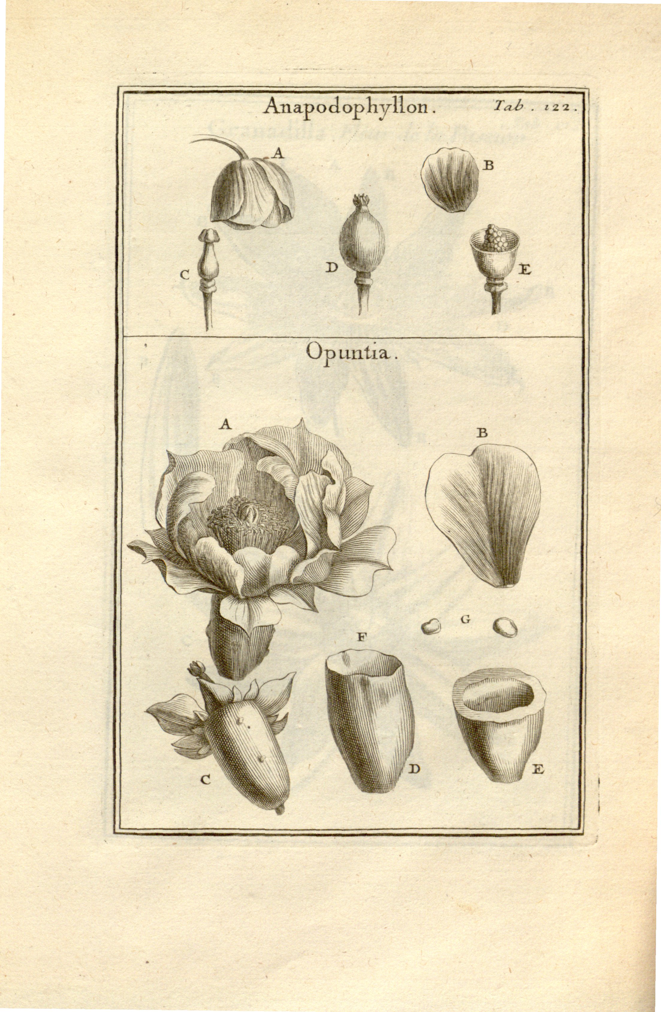 no full size  illustration available (3a)