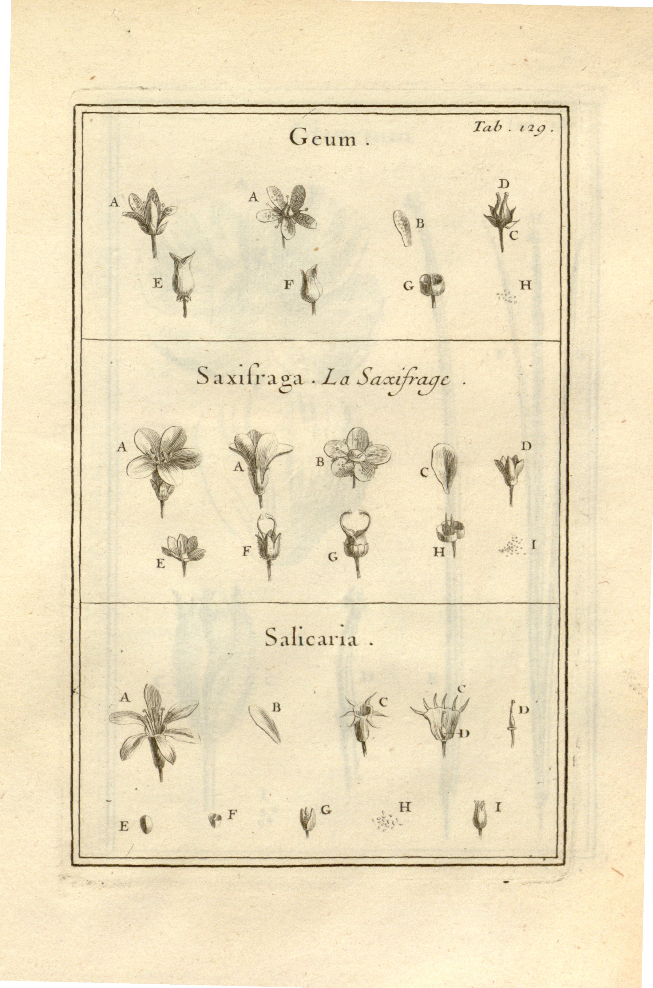 no full size  illustration available (3a)