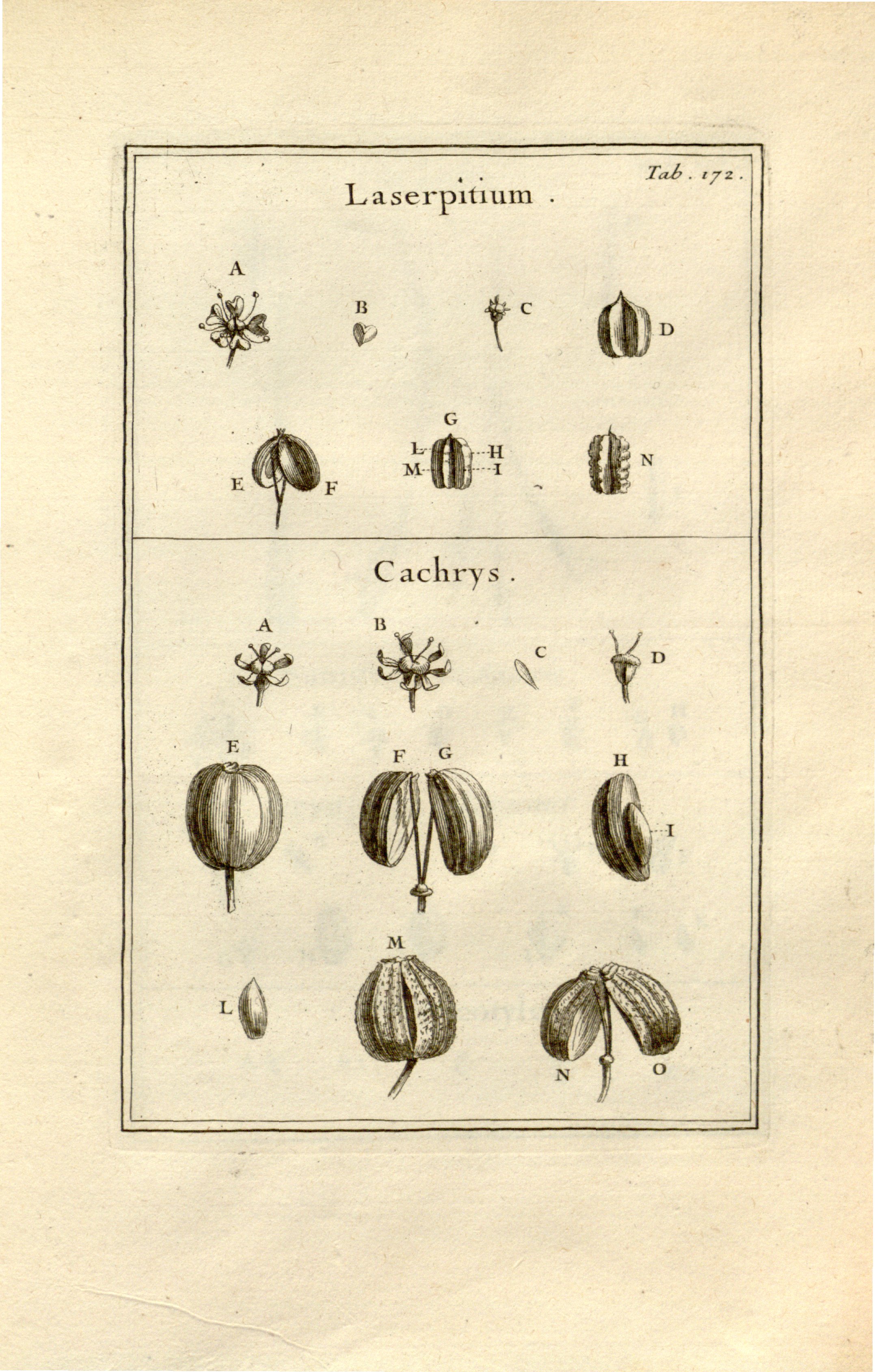 no full size  illustration available (3a)