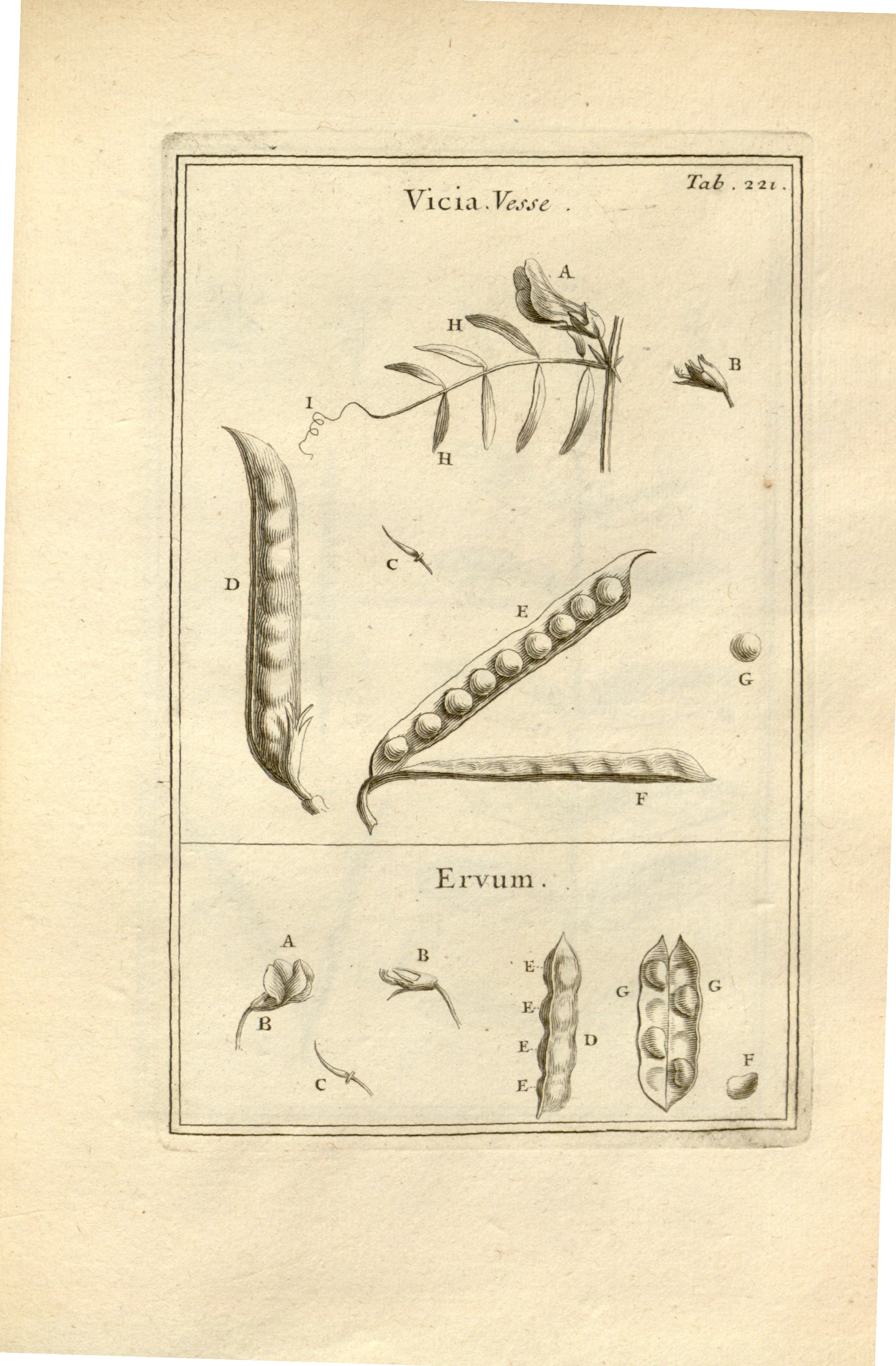 no full size  illustration available (3a)