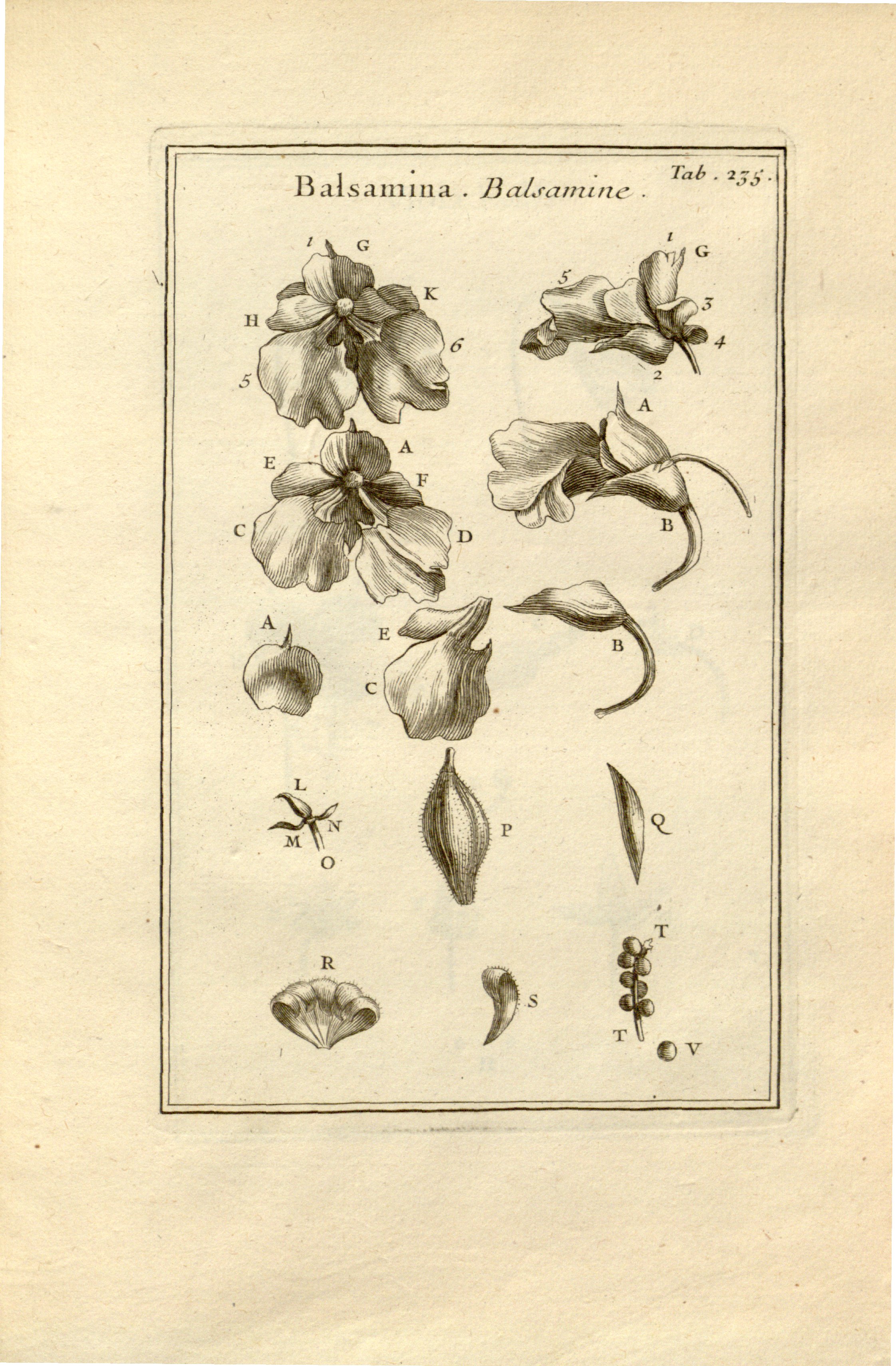 no full size  illustration available (3a)