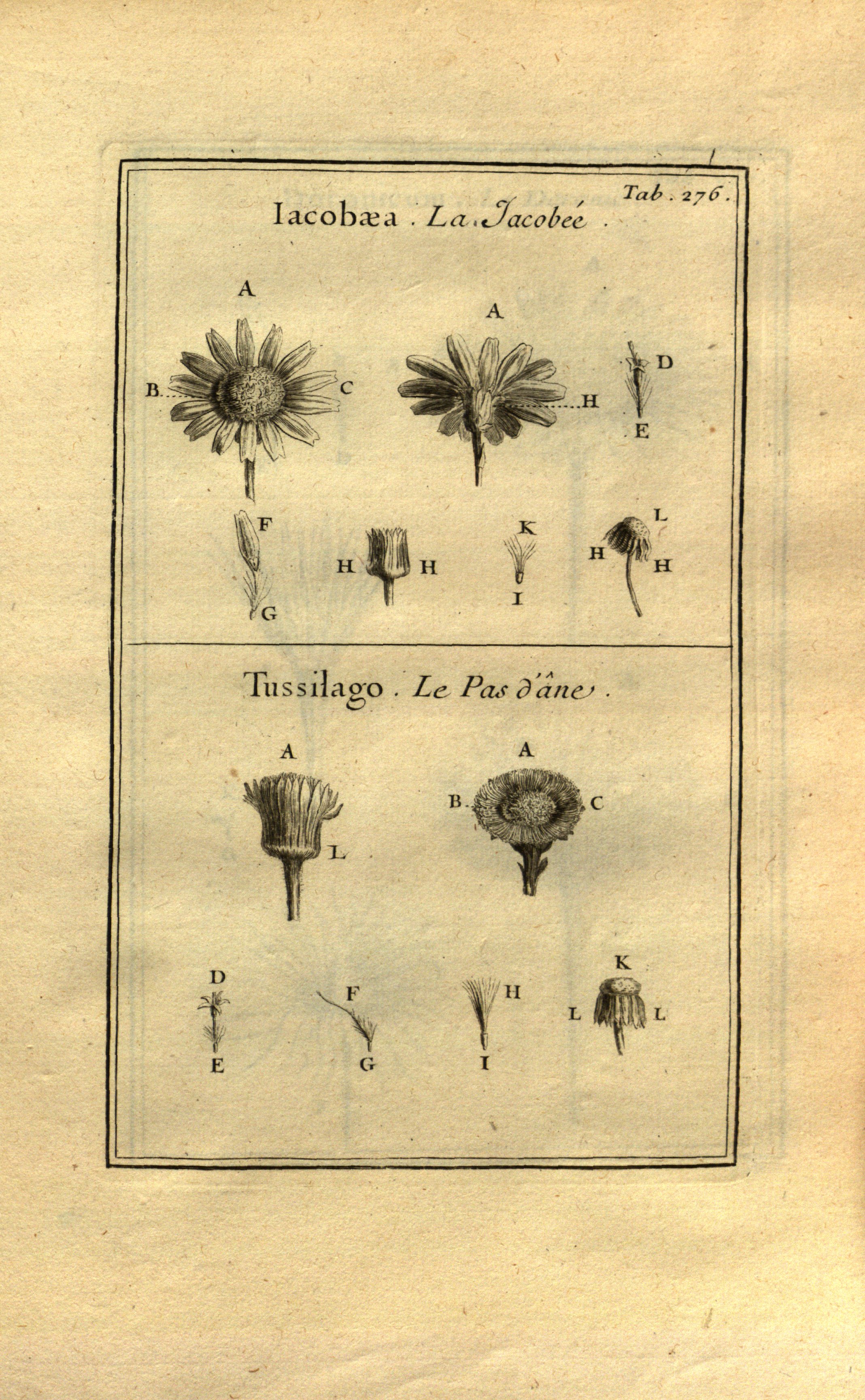 no full size  illustration available (3a)