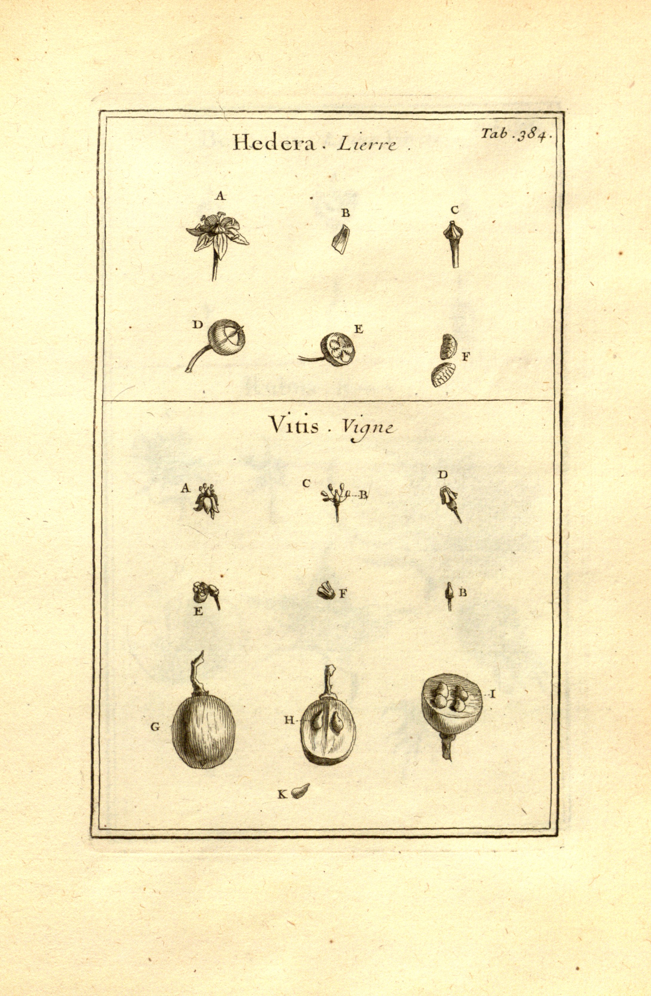 no full size  illustration available (3a)